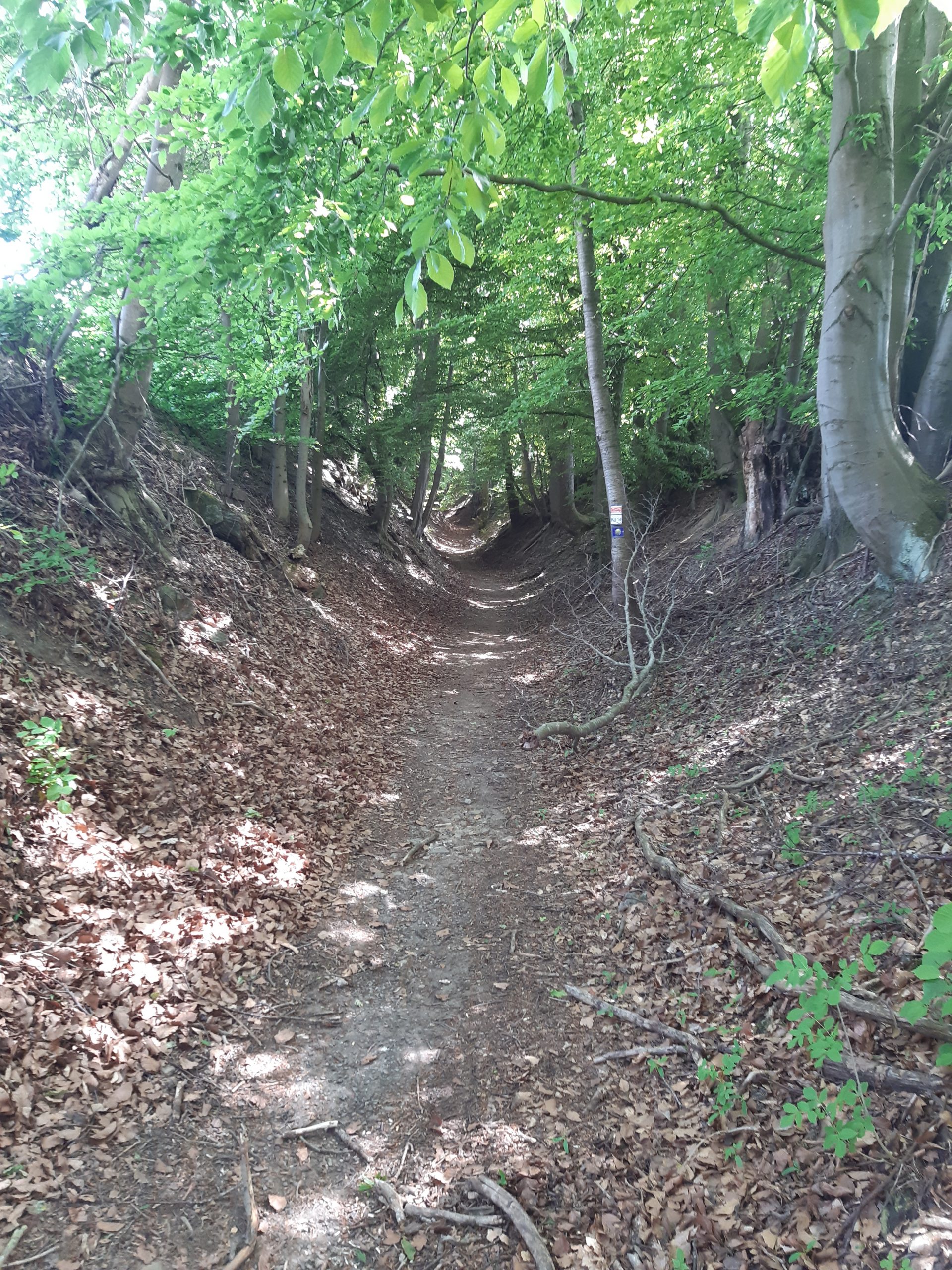Kellerweg