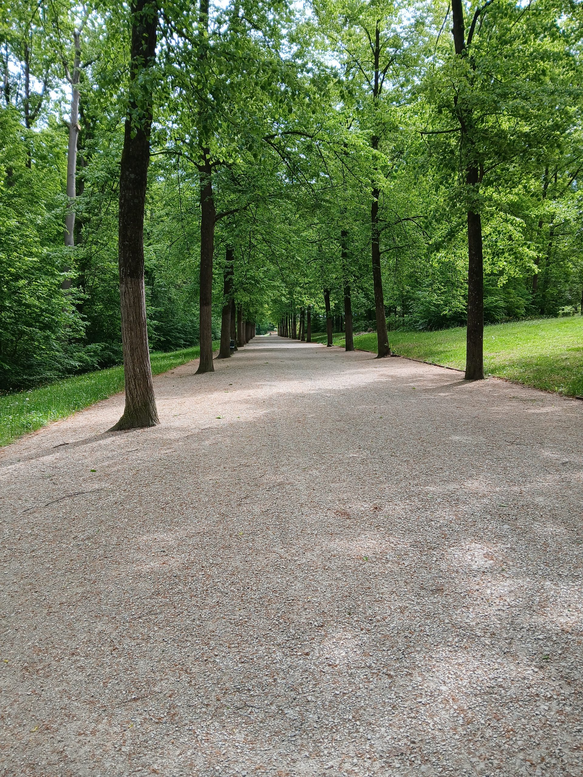 Allee