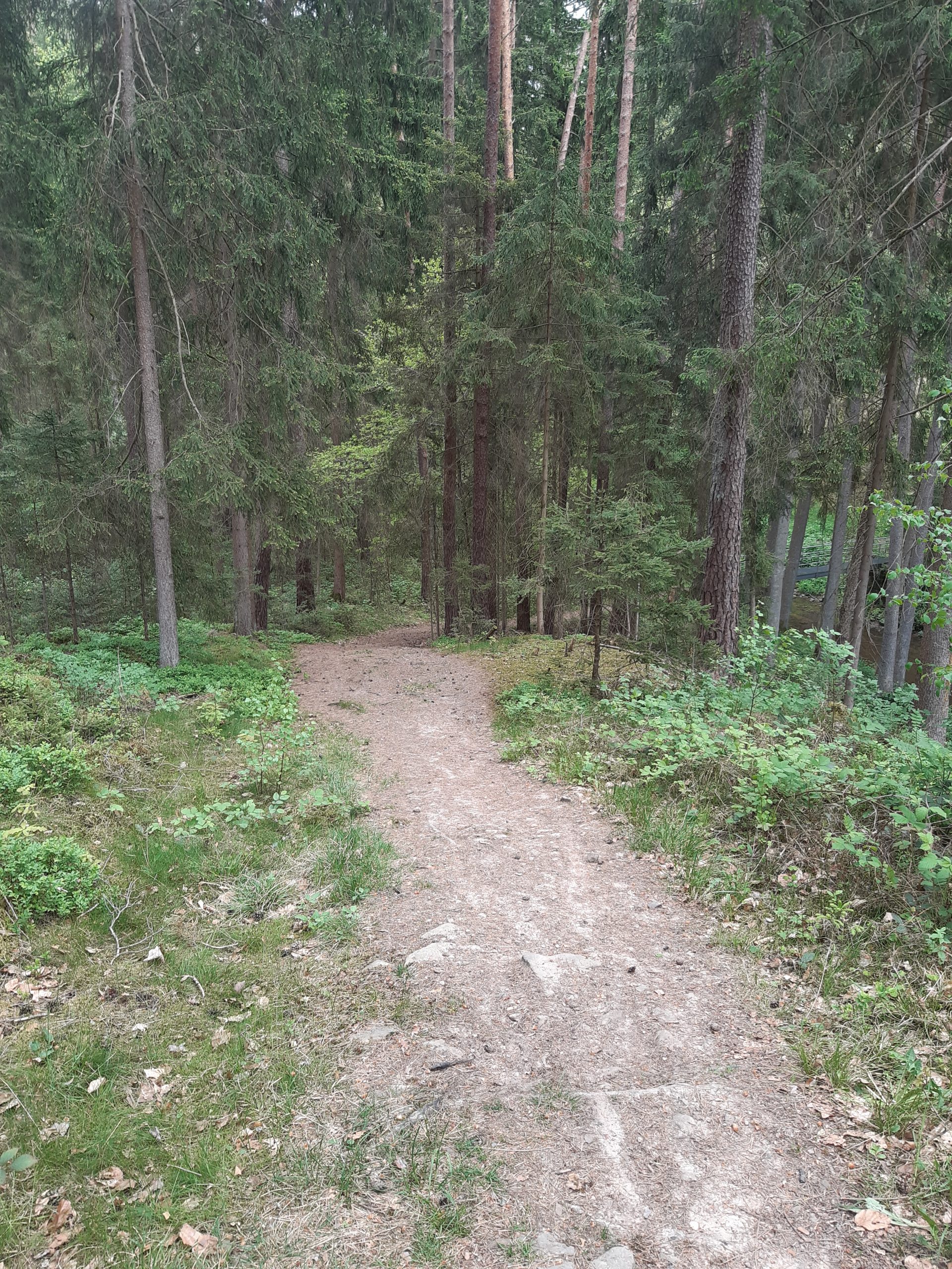 Waldweg