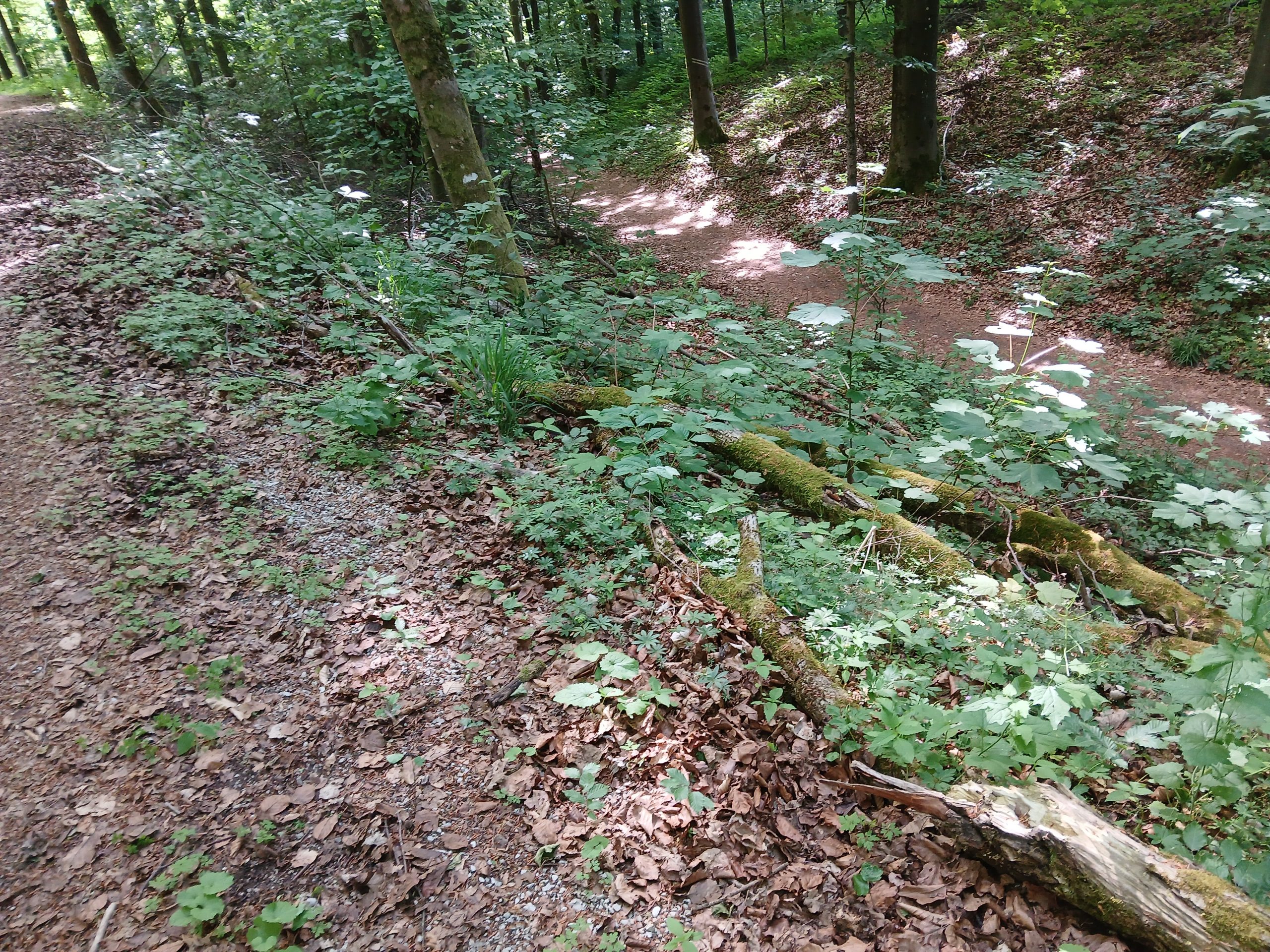 Weg gefunden