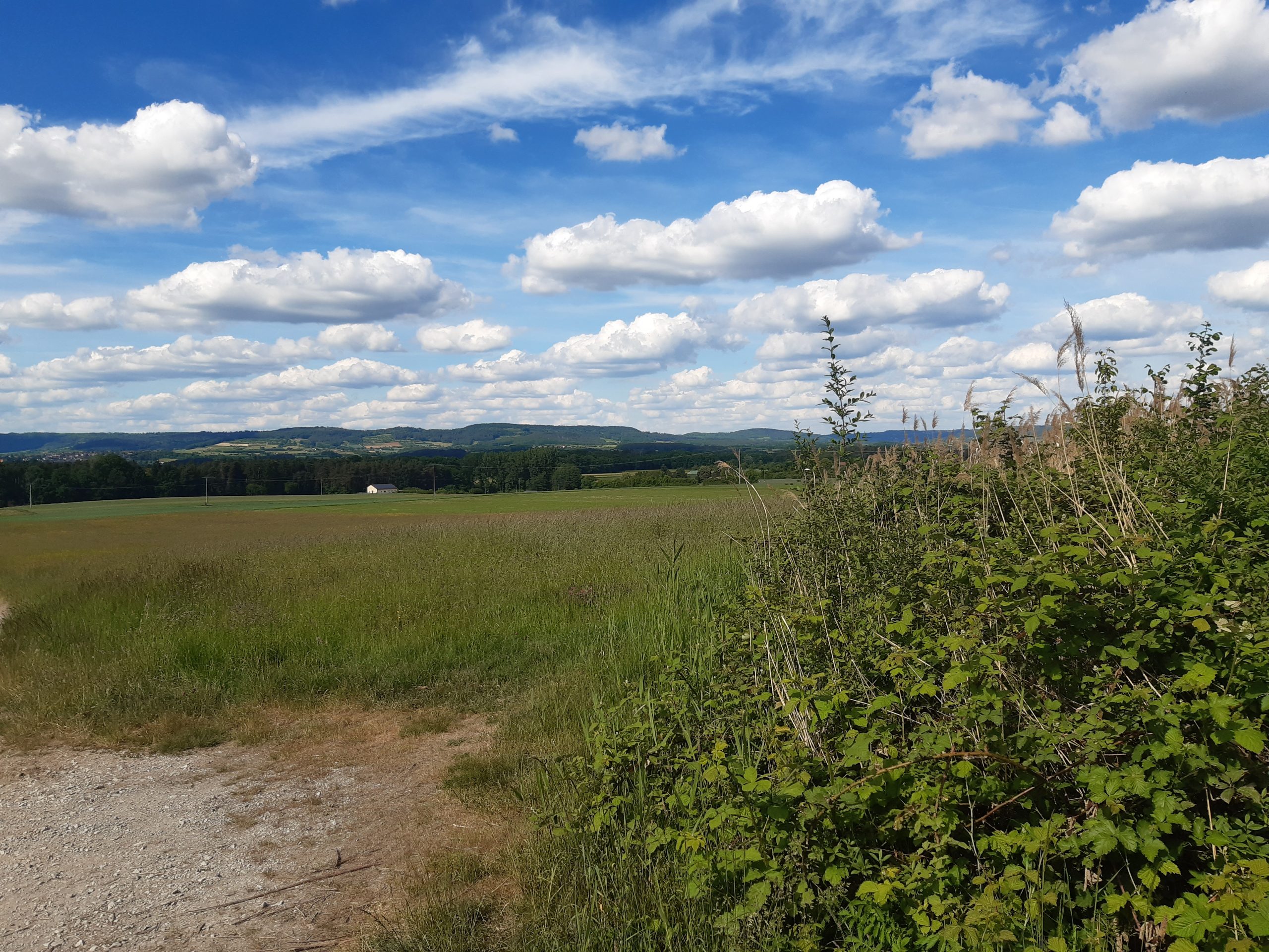 Vor Kalchreith