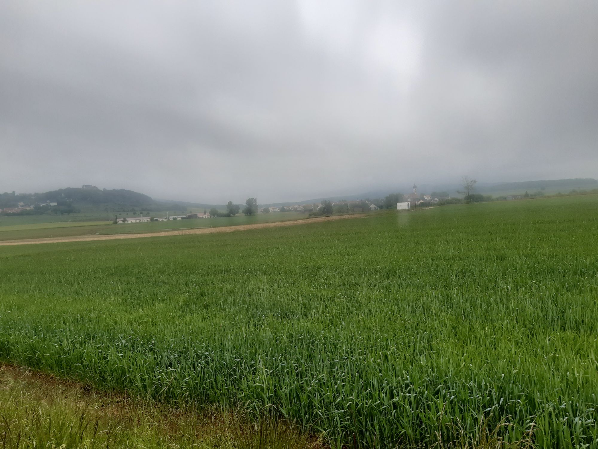 Regen