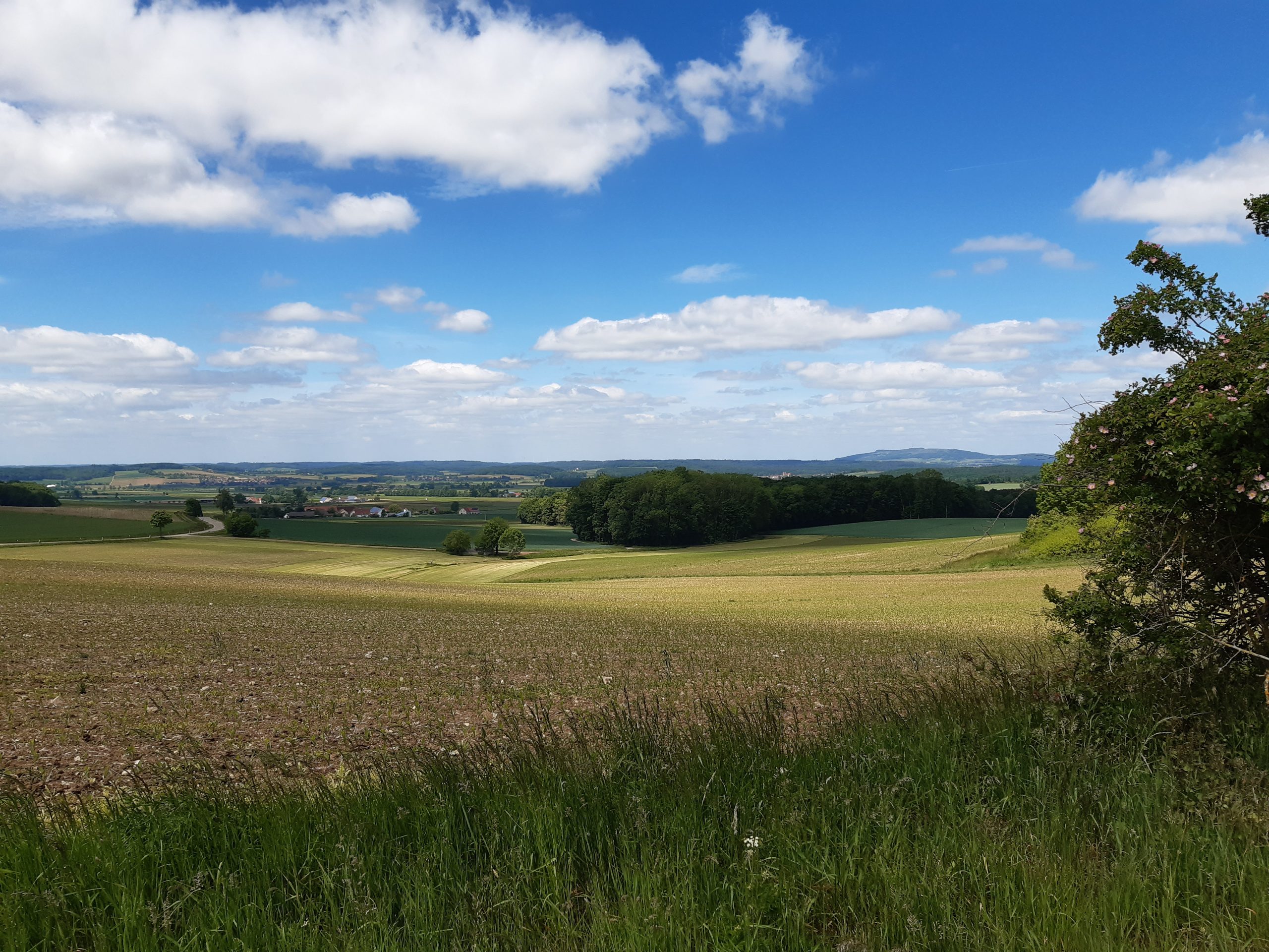 Hüssingen