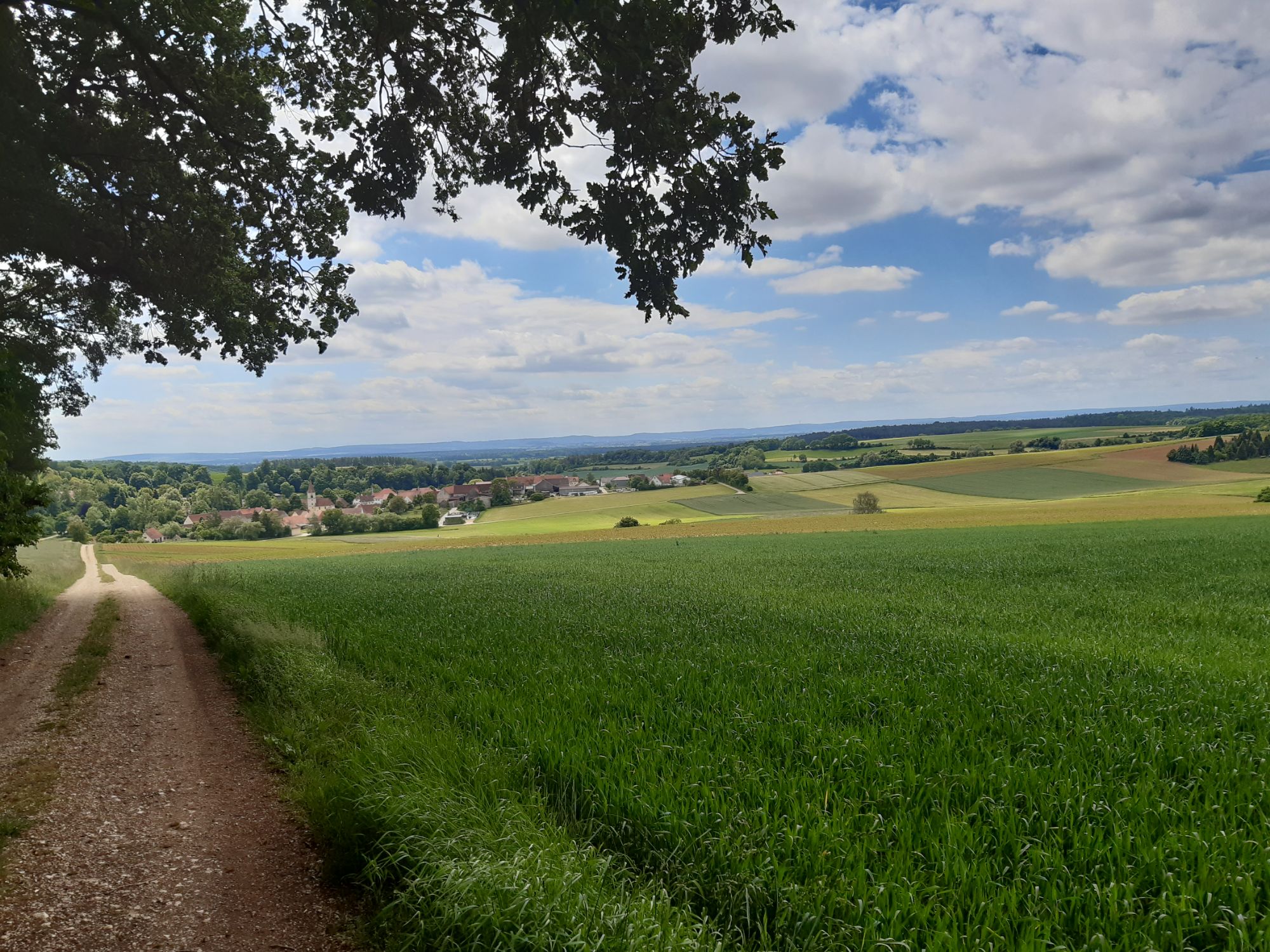 Wanderweg
