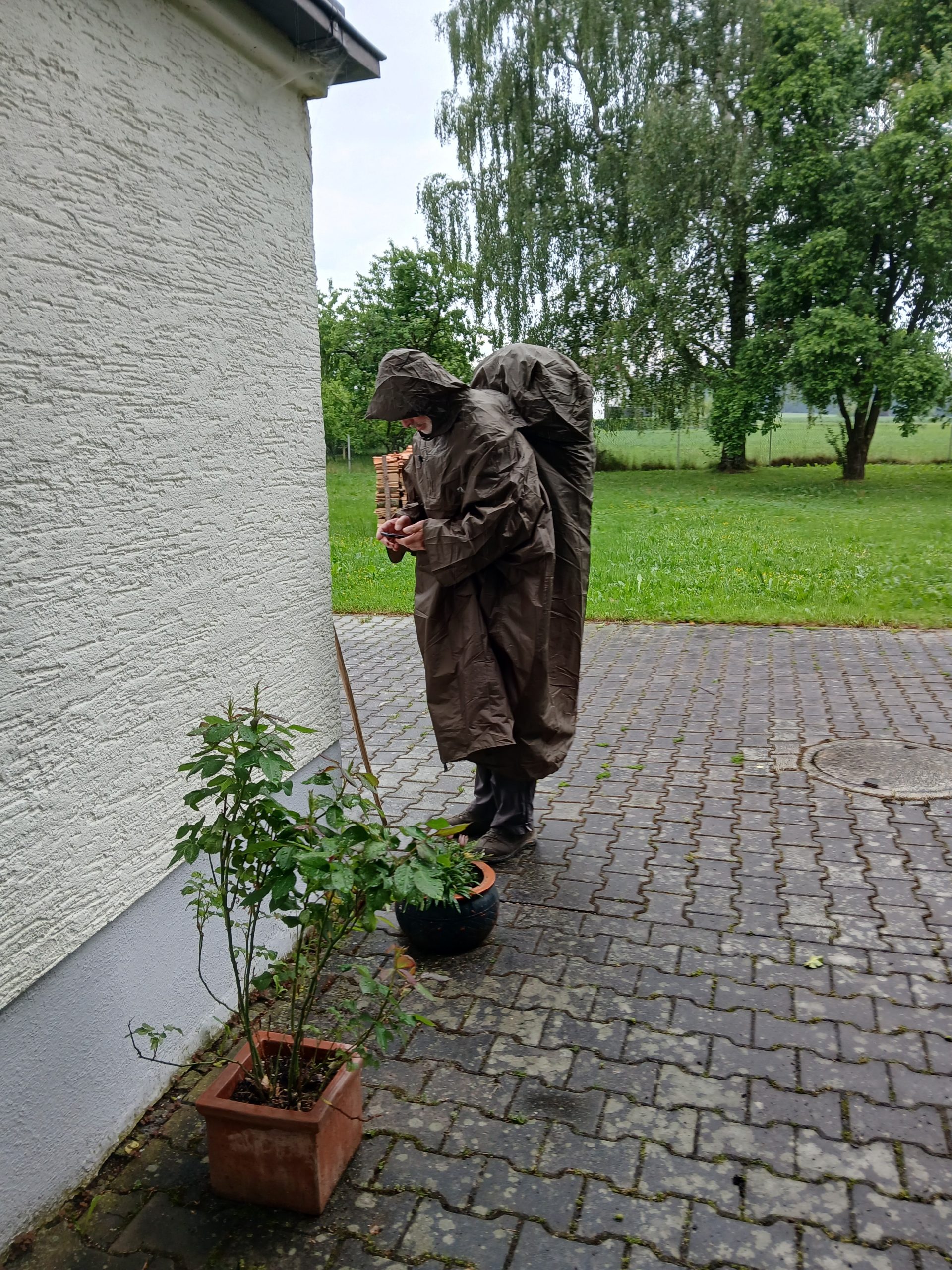 Regen