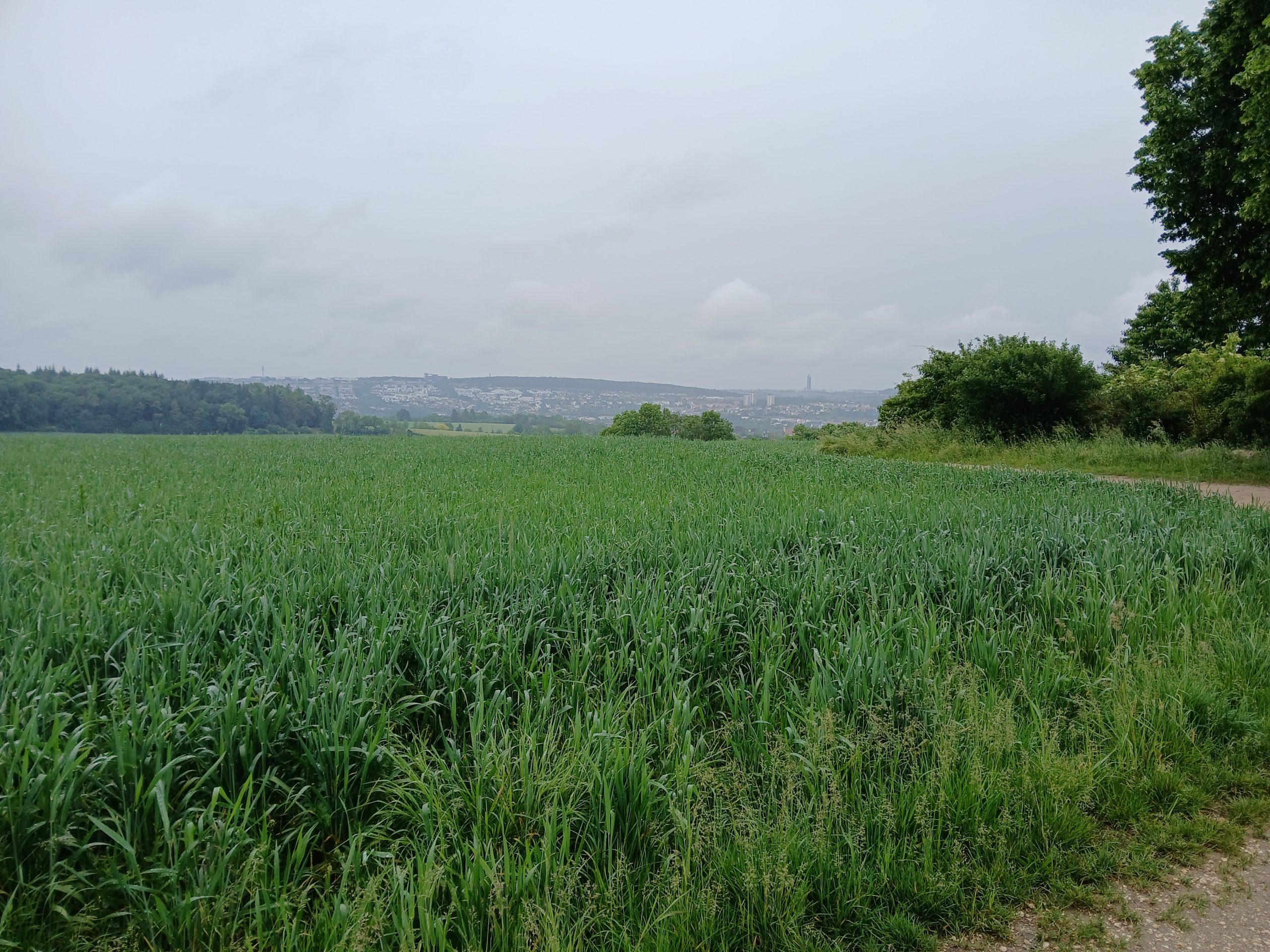 Rückblick