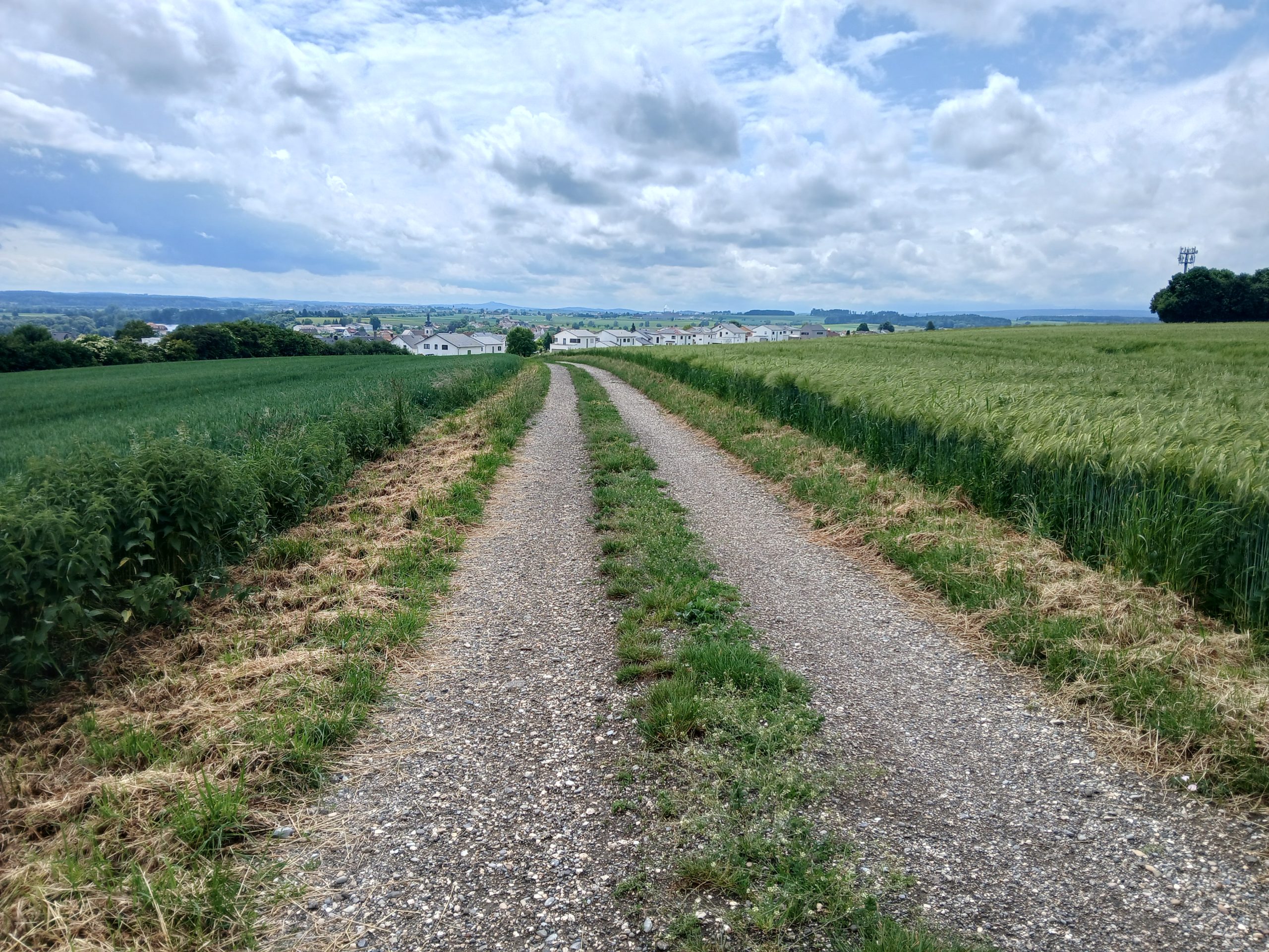 Oberdischingen
