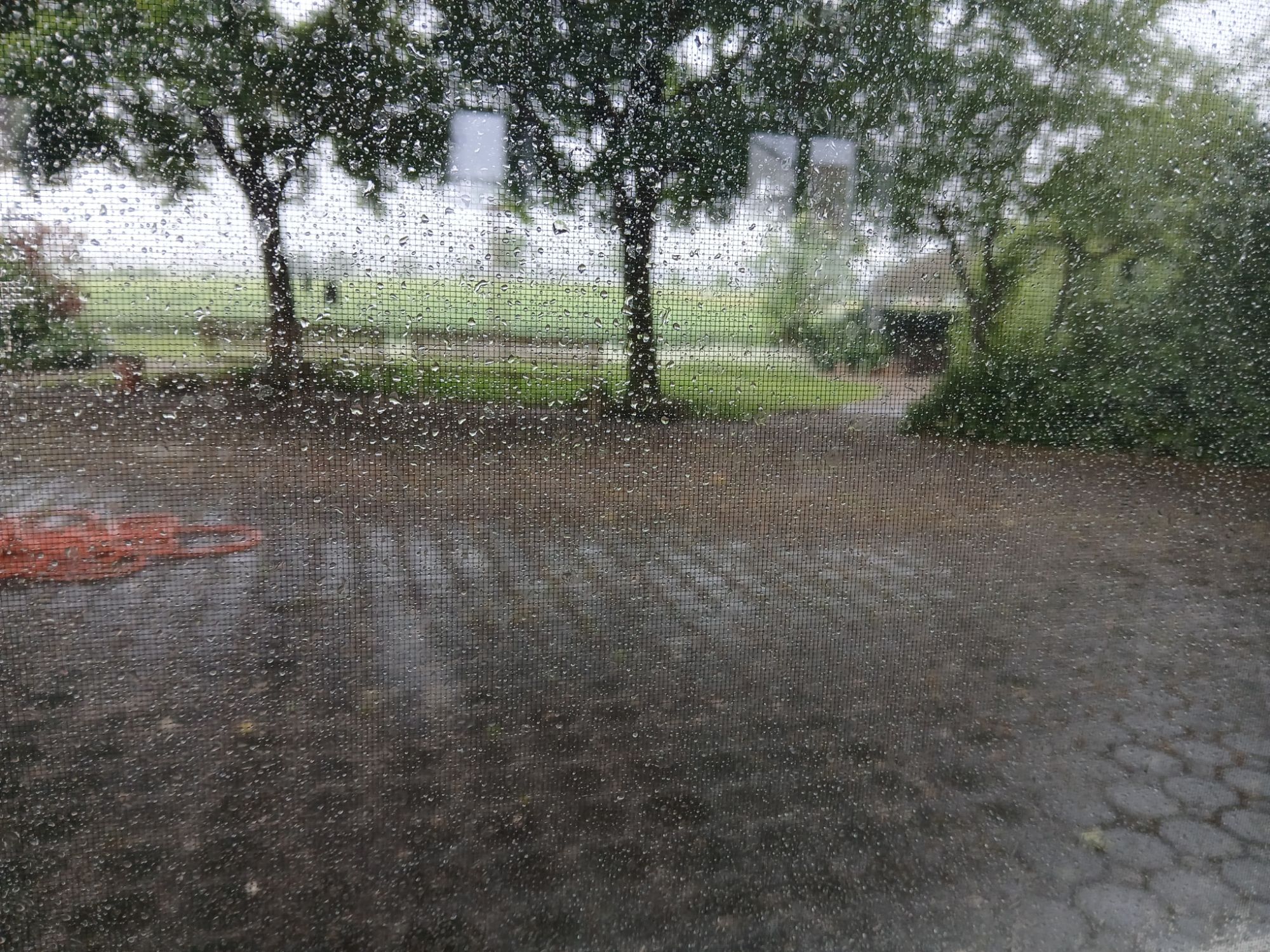 Regen