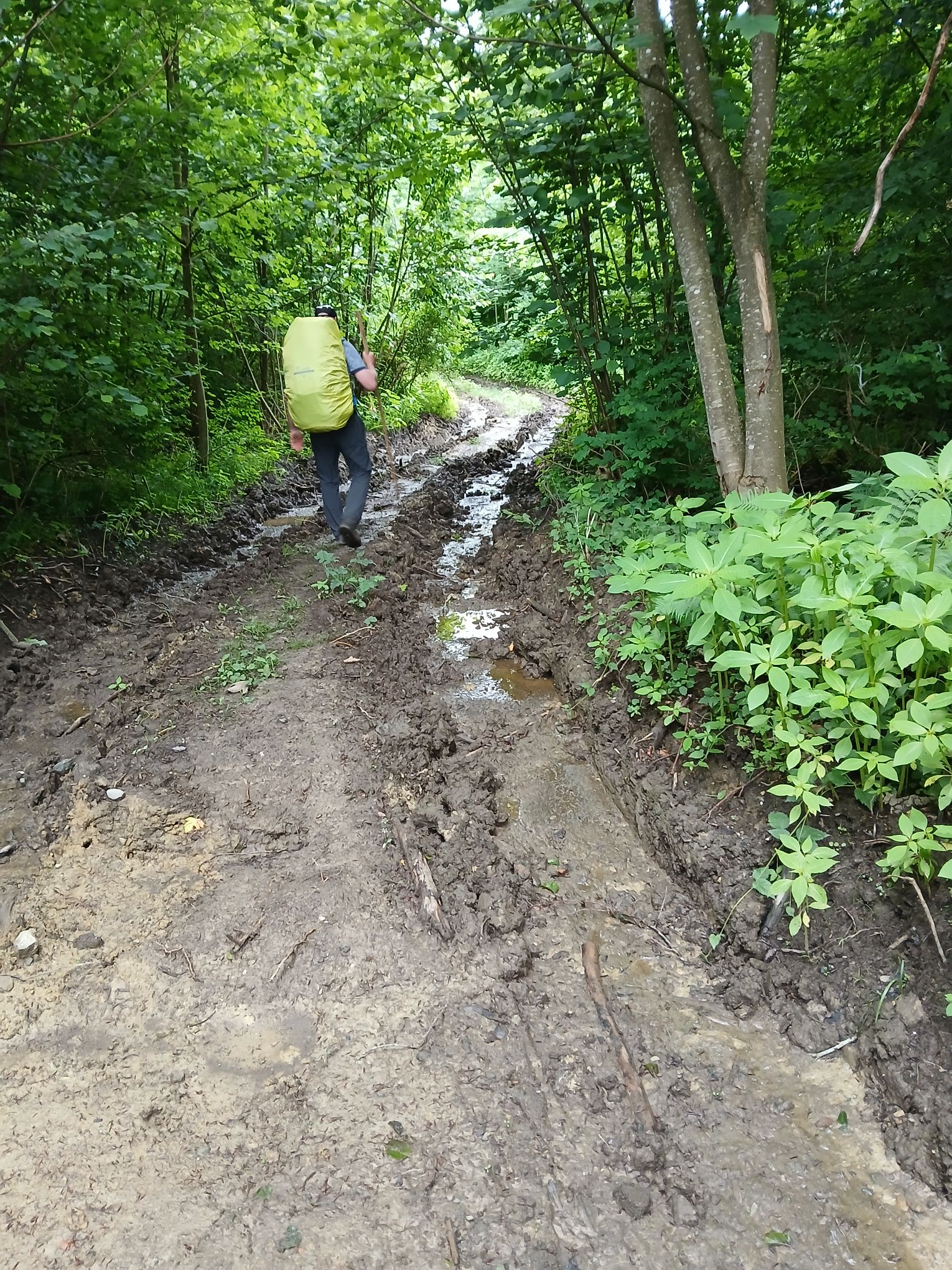 Schlammweg