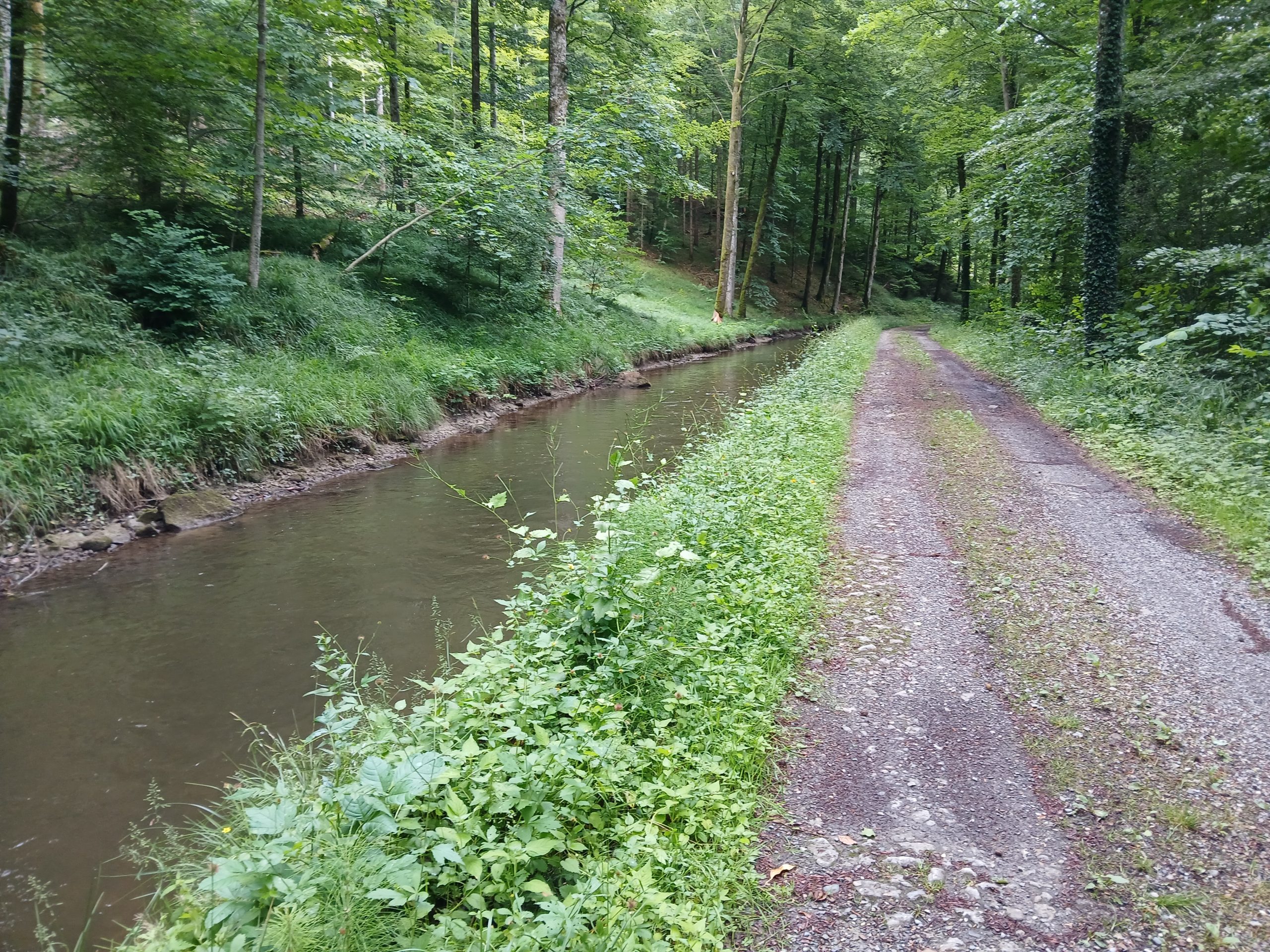Kanal