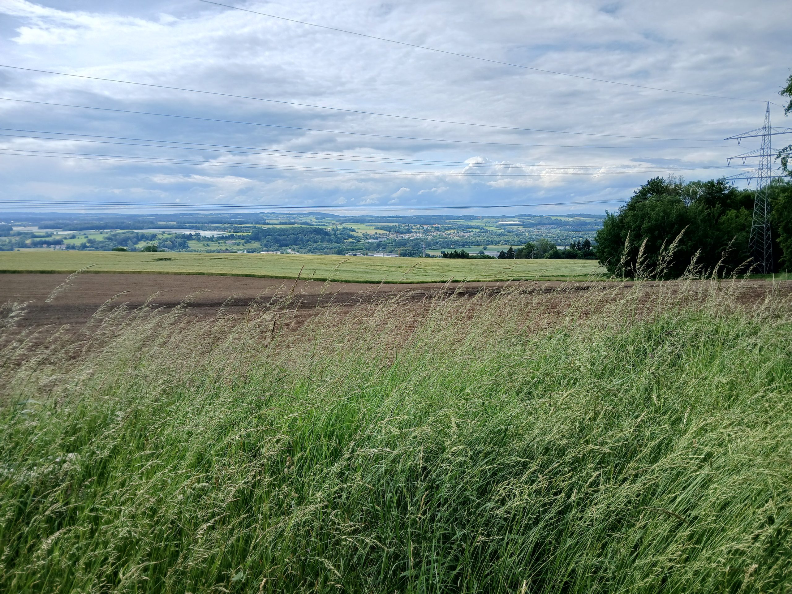 Blick vom Hügel