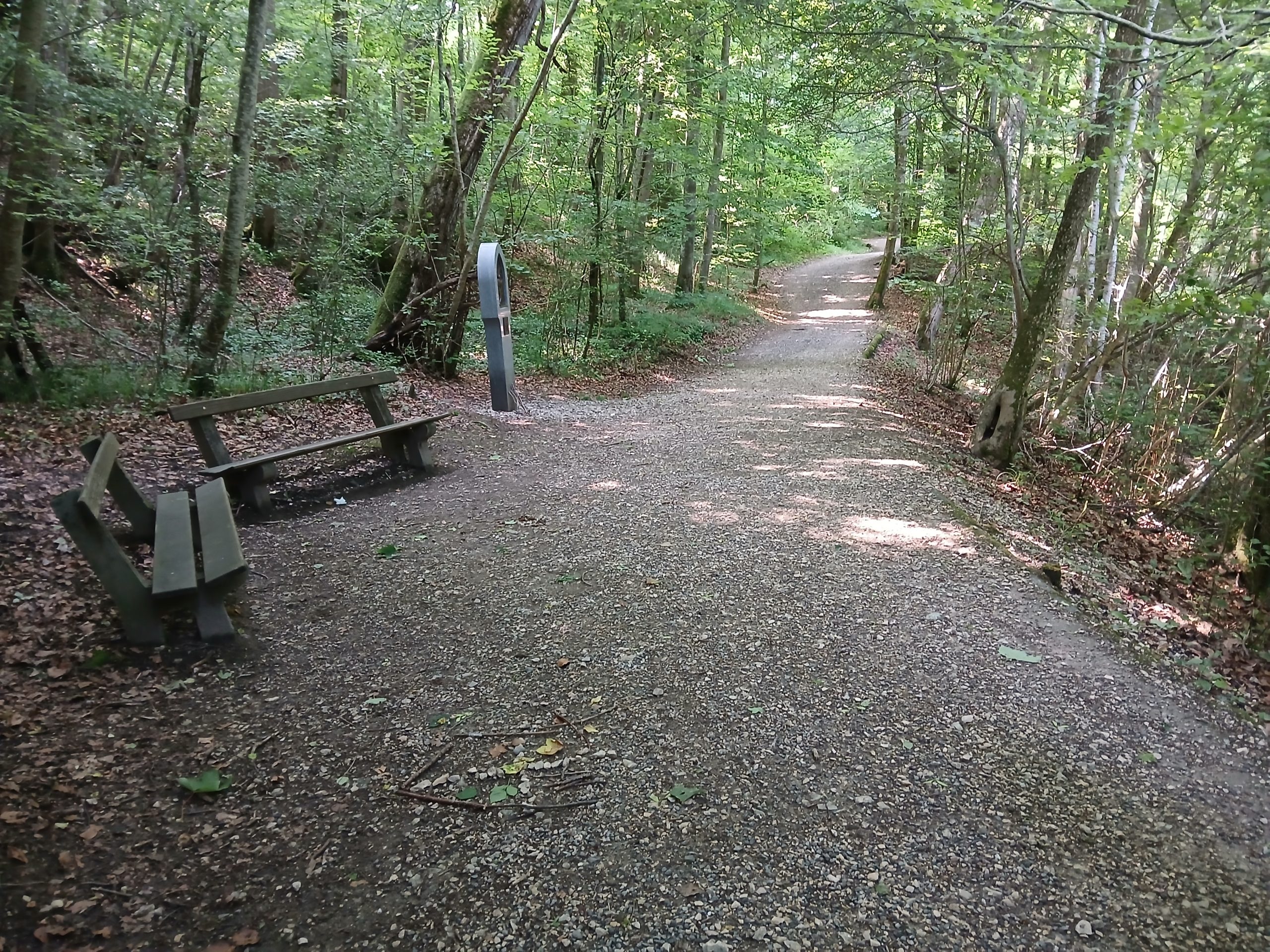 Waldweg
