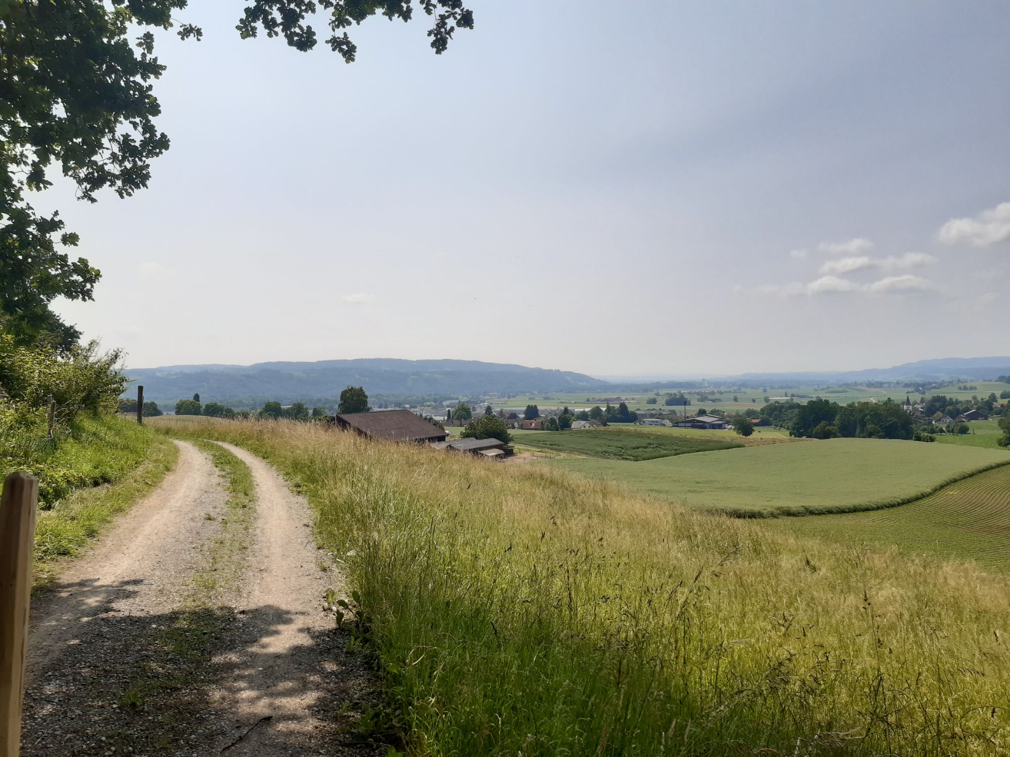 schlechte Fernsicht