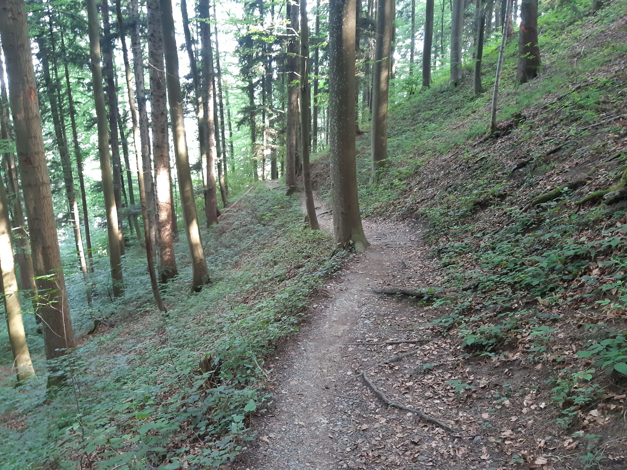 leichter Anstieg