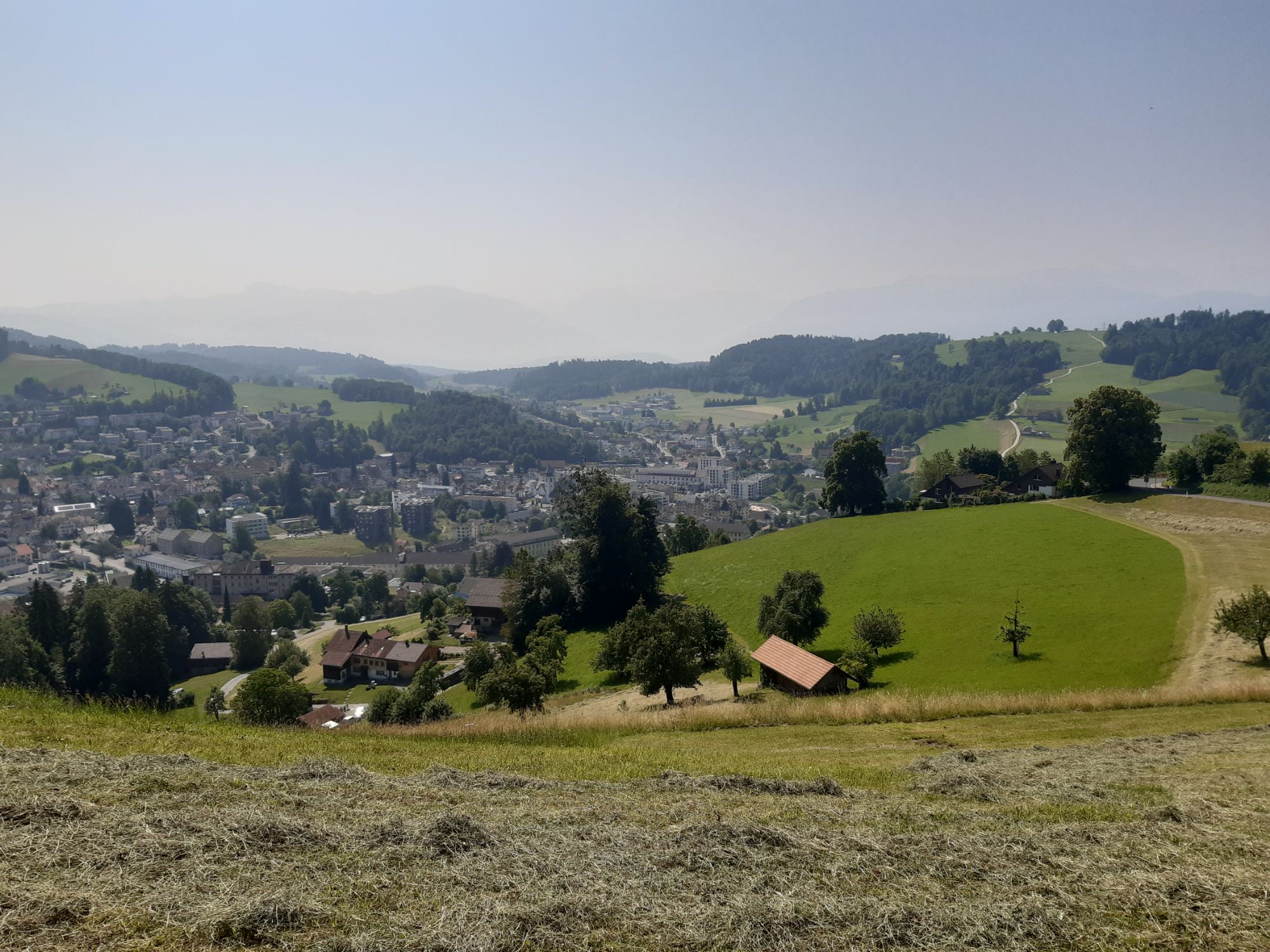 schlechte Sicht