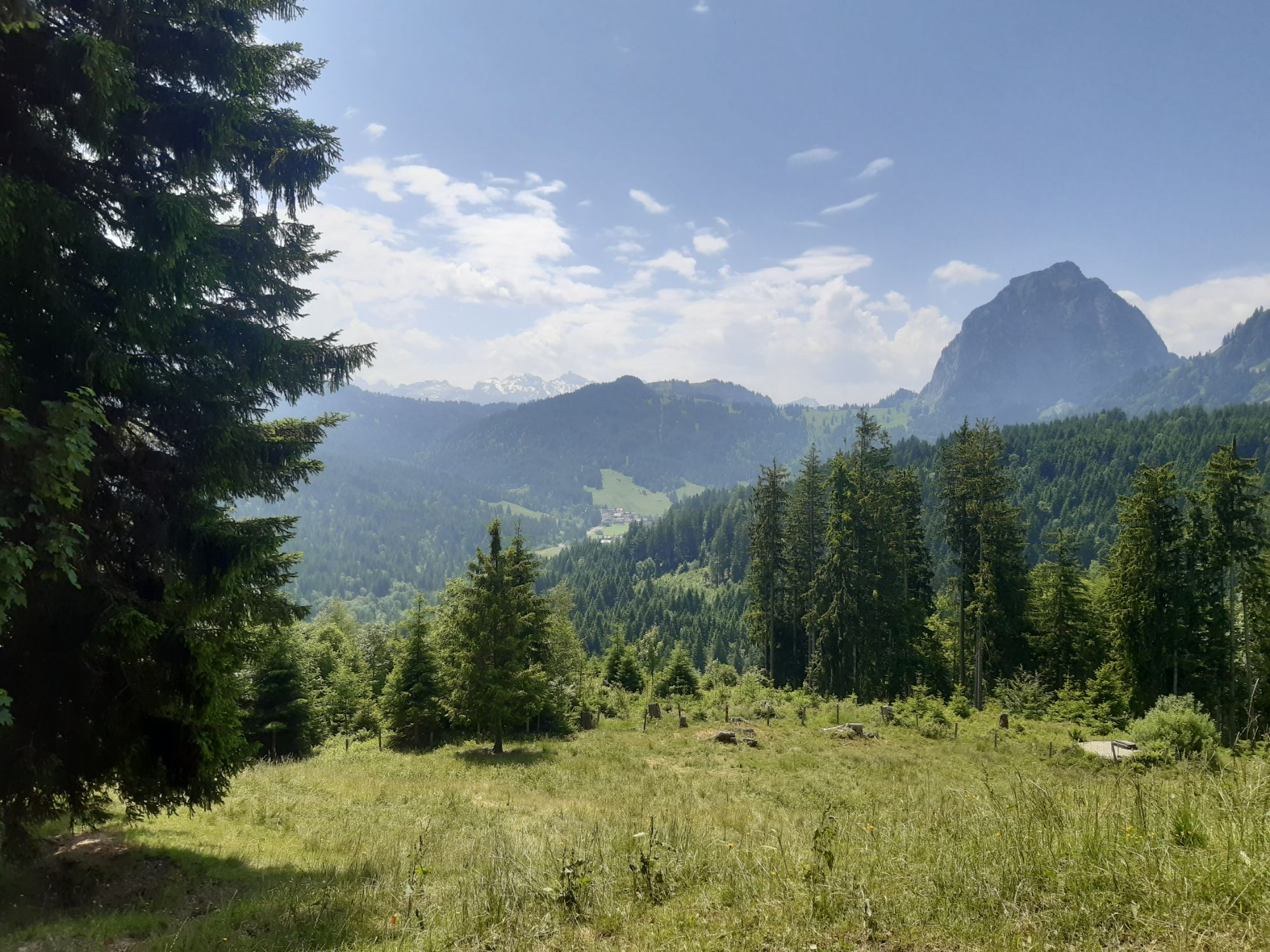 Hochalm
