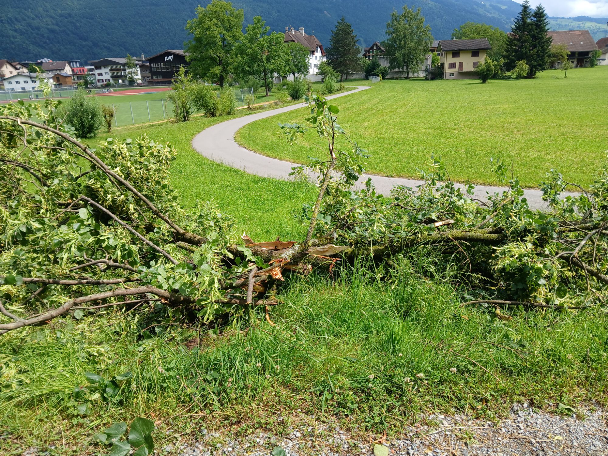 Gewitterschäden