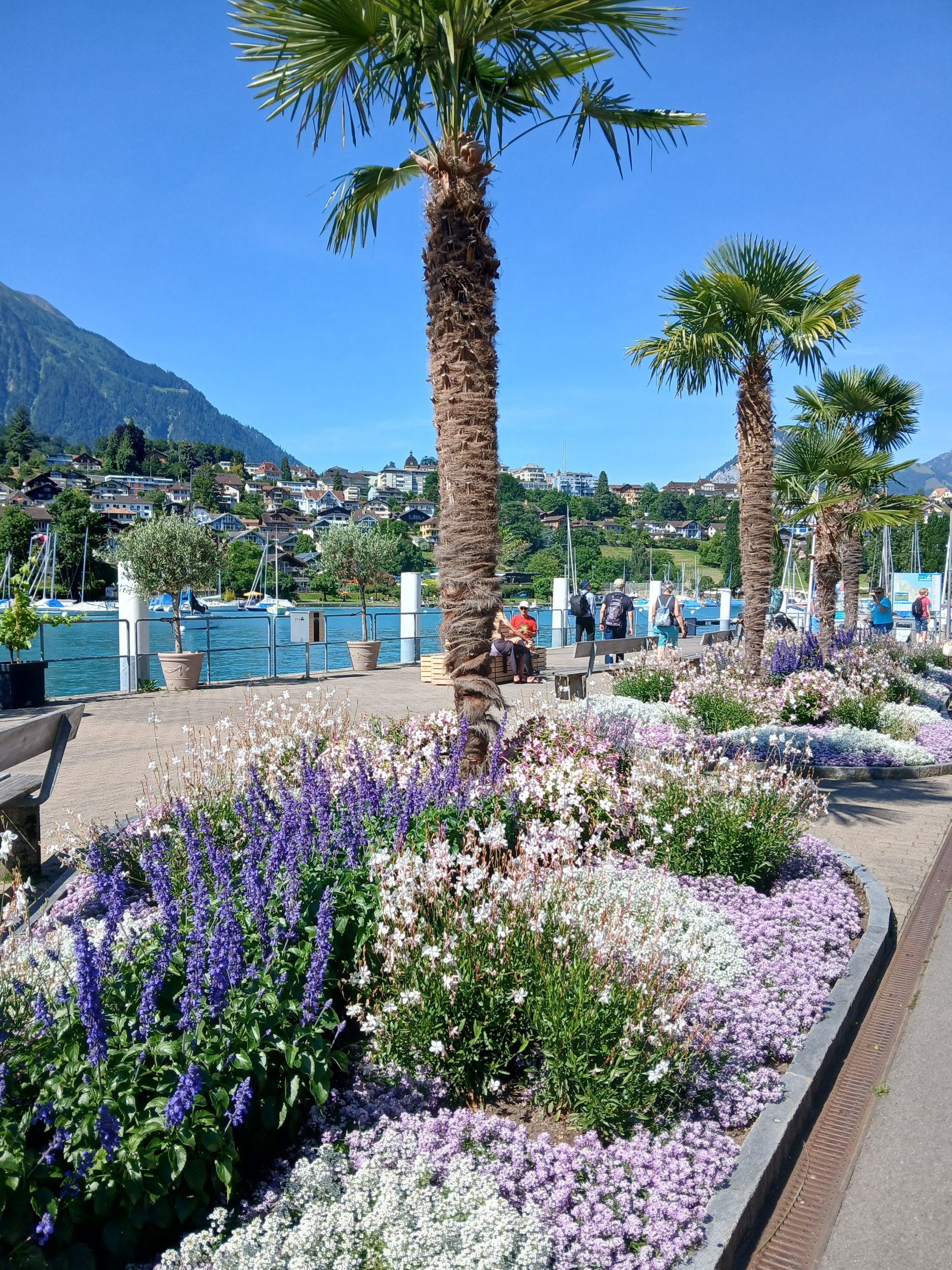 Spiez