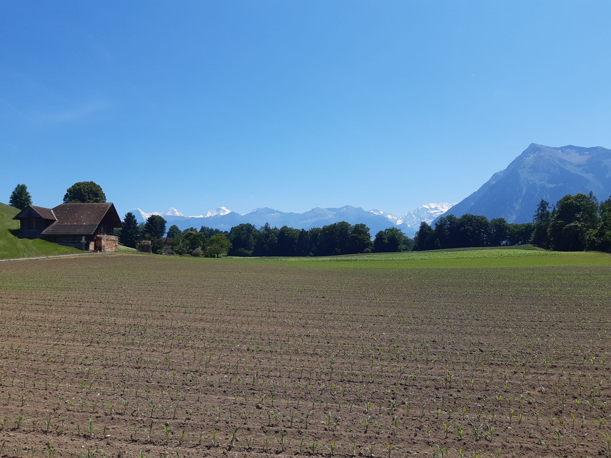 Schneegipfel