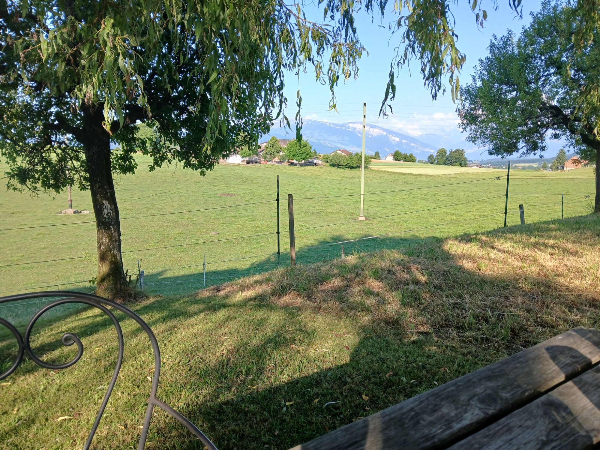 Abendstimmung