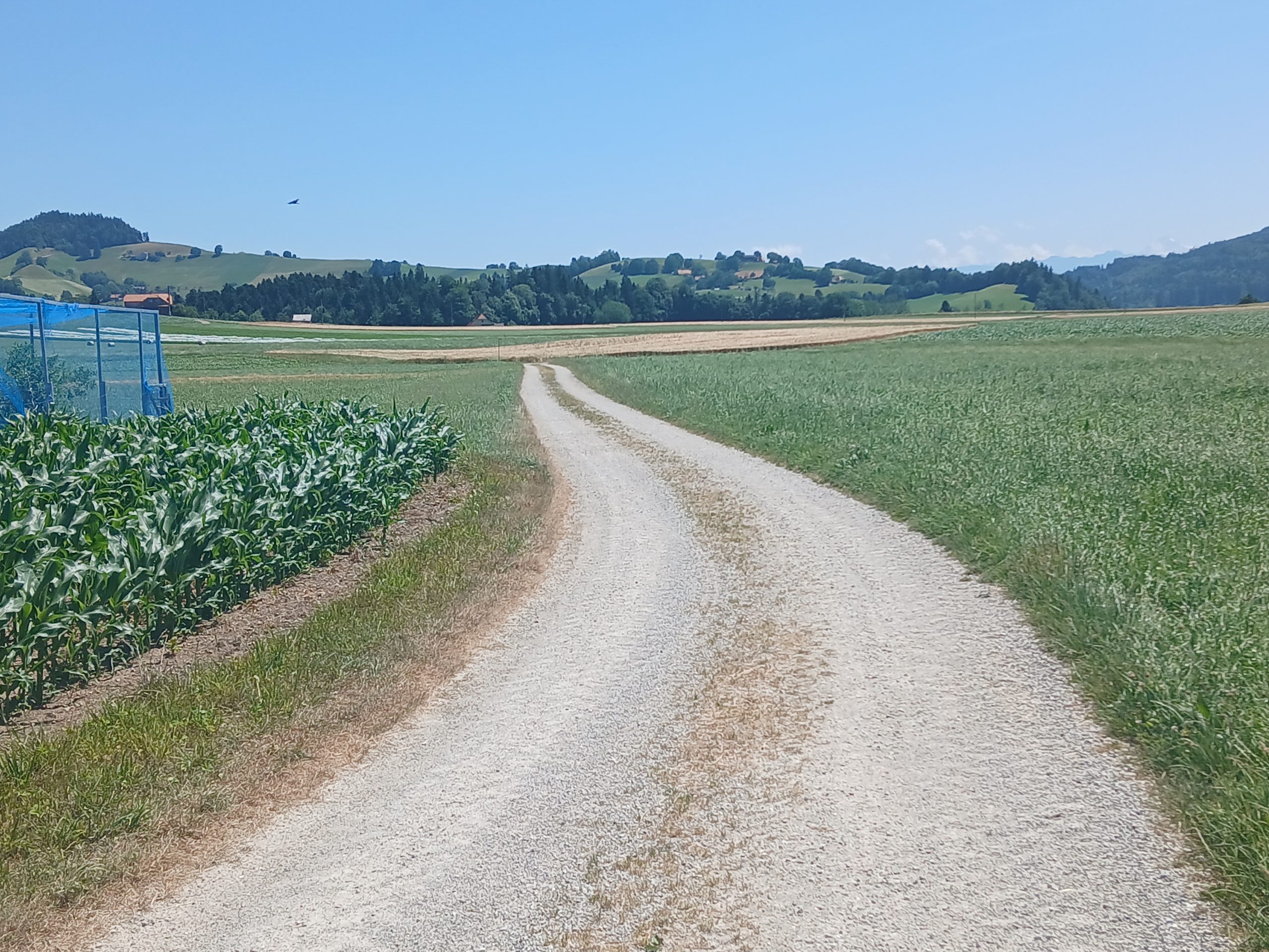 Landwirtschaftlich geprägt
