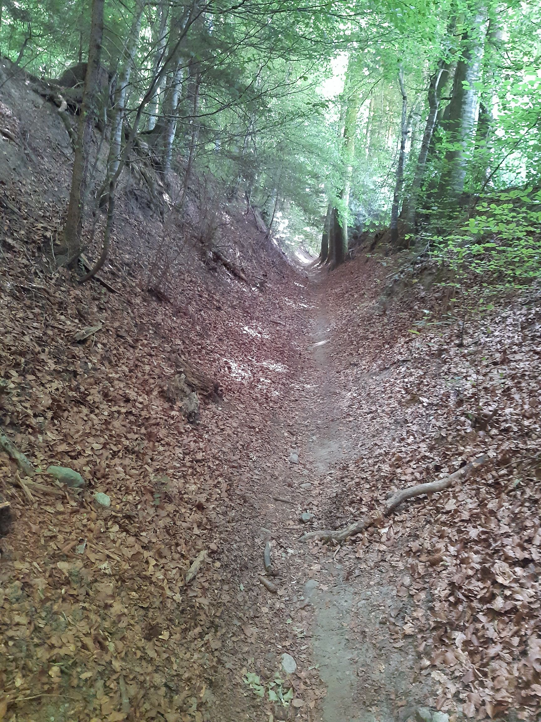 Hohlweg