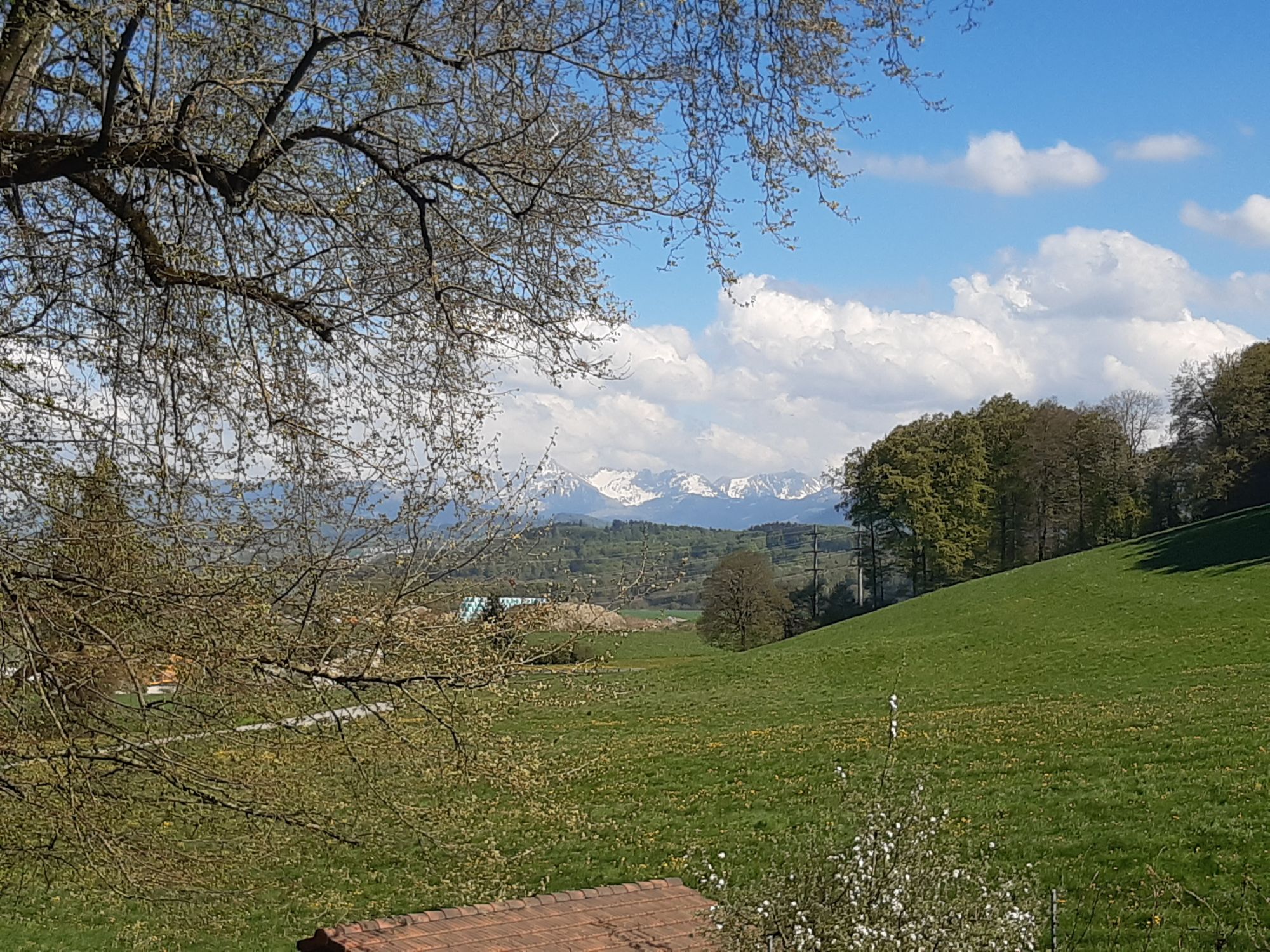 Fensterblick