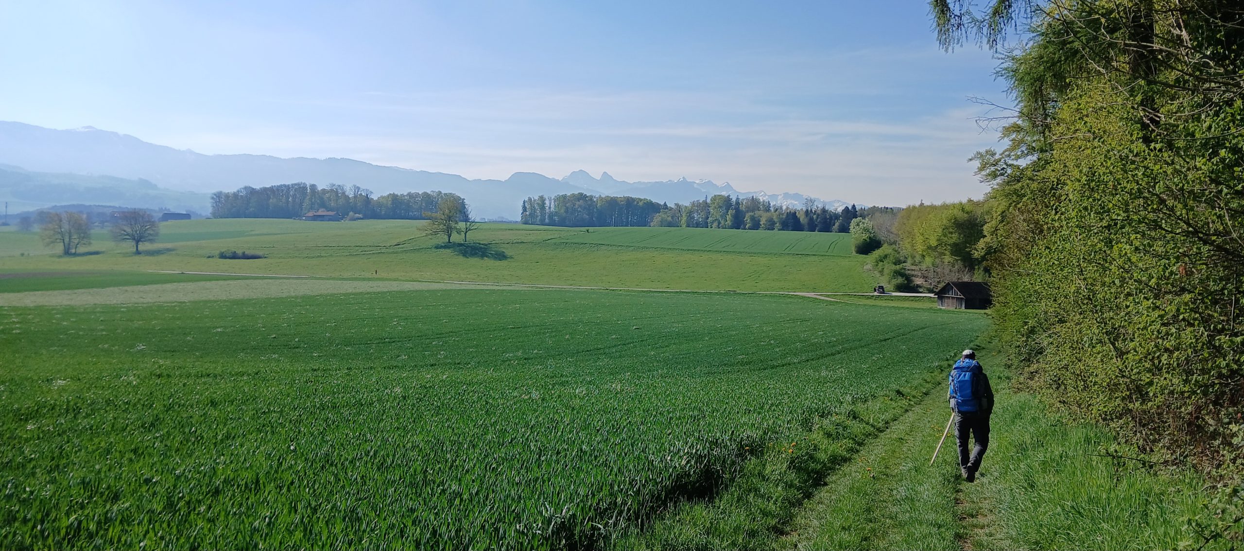 Auf dem Weg
