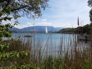 Mehr über den Artikel erfahren Tag&nbsp; 8, 29.04. Chateau de Bossey – Genf, 23,9 km