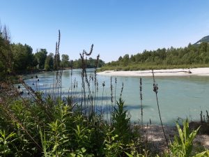 Mehr über den Artikel erfahren Zweiter Versuch Tag 4, 31.05. Motz – Jongieux le Haut 27,8 km