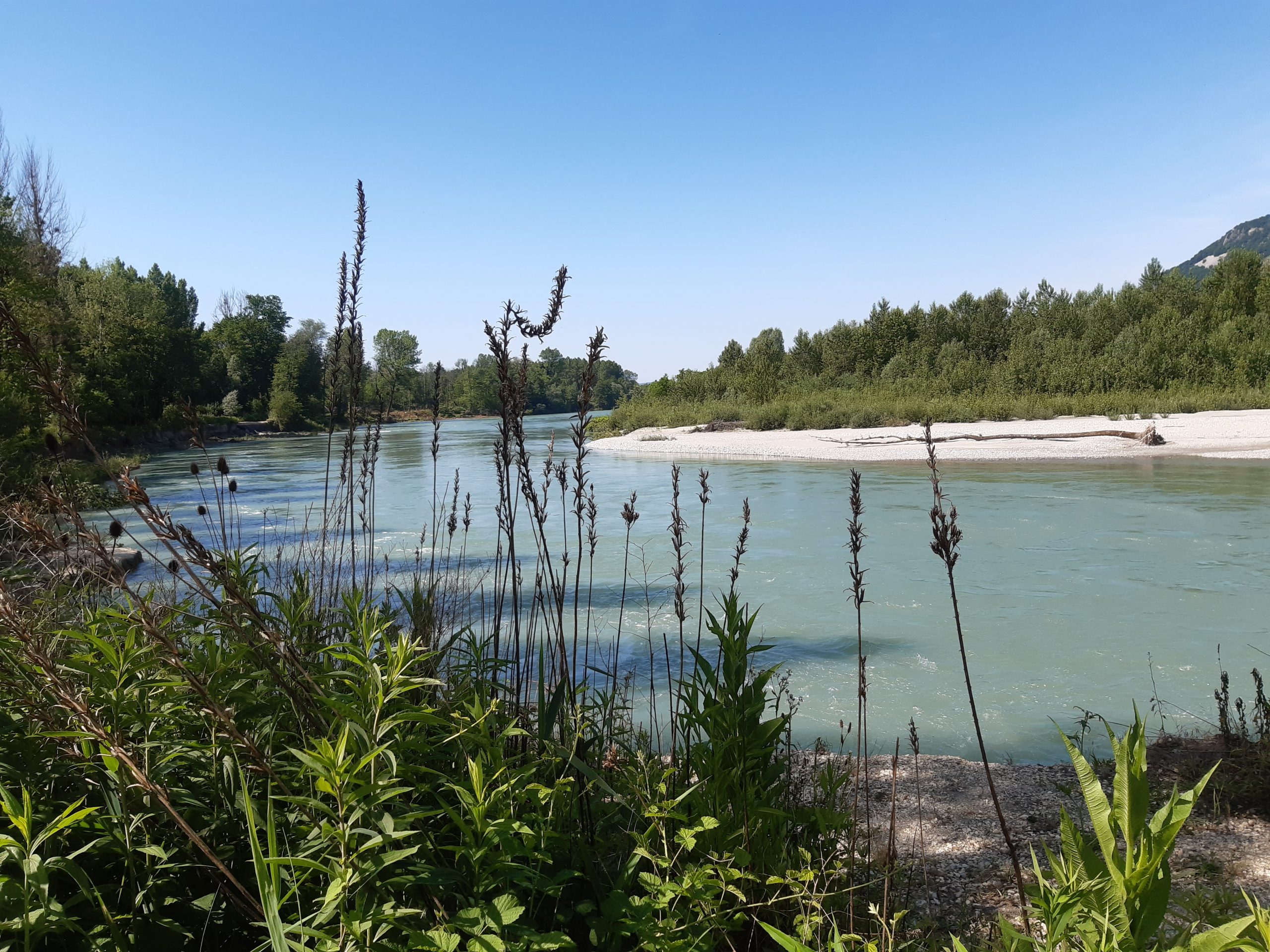 Mehr über den Artikel erfahren Zweiter Versuch Tag 4, 31.05. Motz – Jongieux le Haut 27,8 km