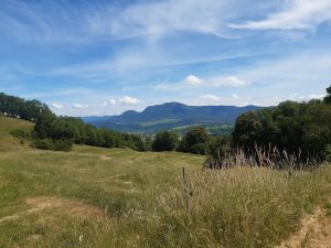 Mehr über den Artikel erfahren Zweiter Versuch Tag 5, 01.06. Jongieux le Haut – Côte Envers, 26,3 km