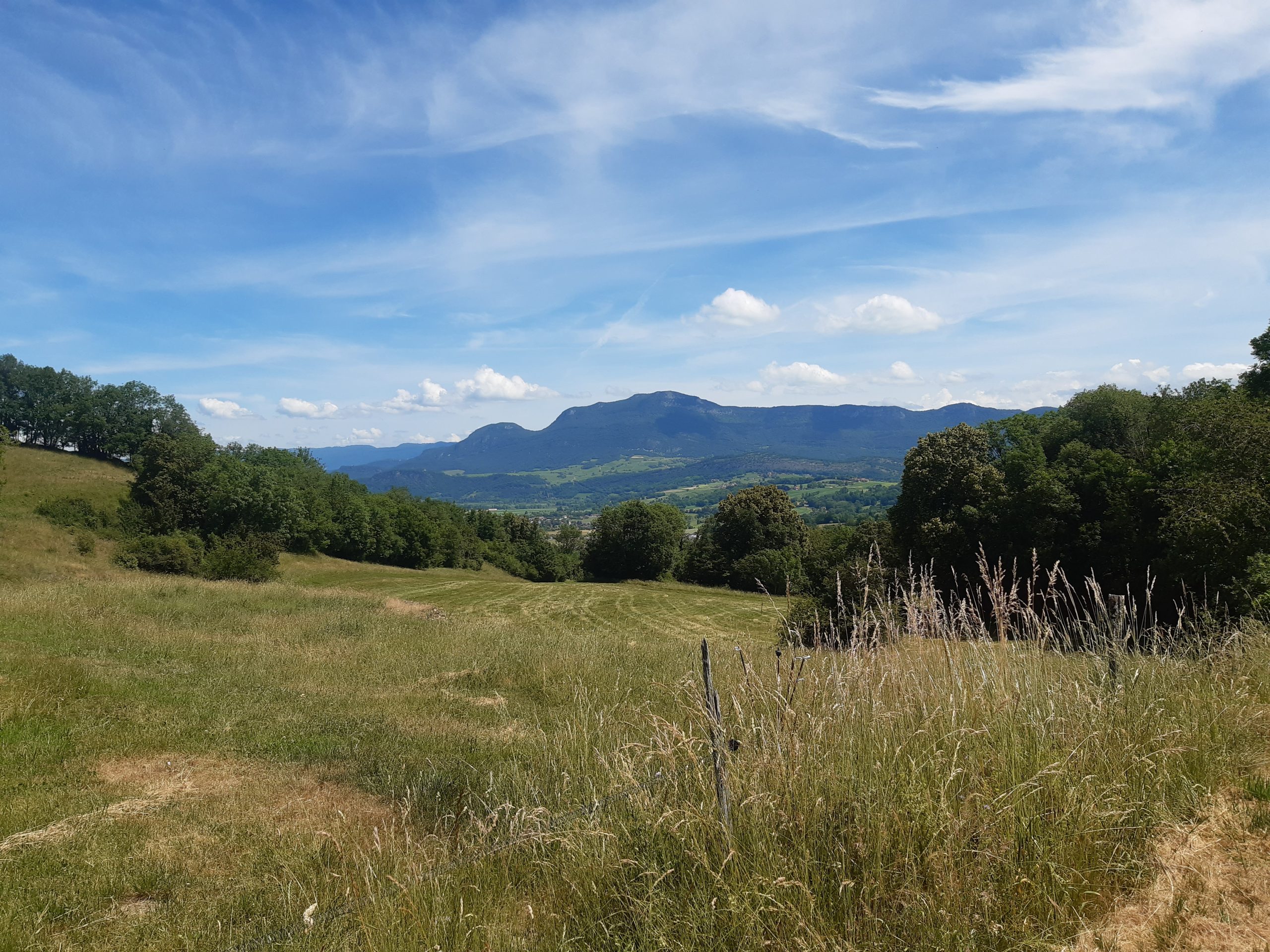 Mehr über den Artikel erfahren Zweiter Versuch Tag 5, 01.06. Jongieux le Haut – Côte Envers, 26,3 km