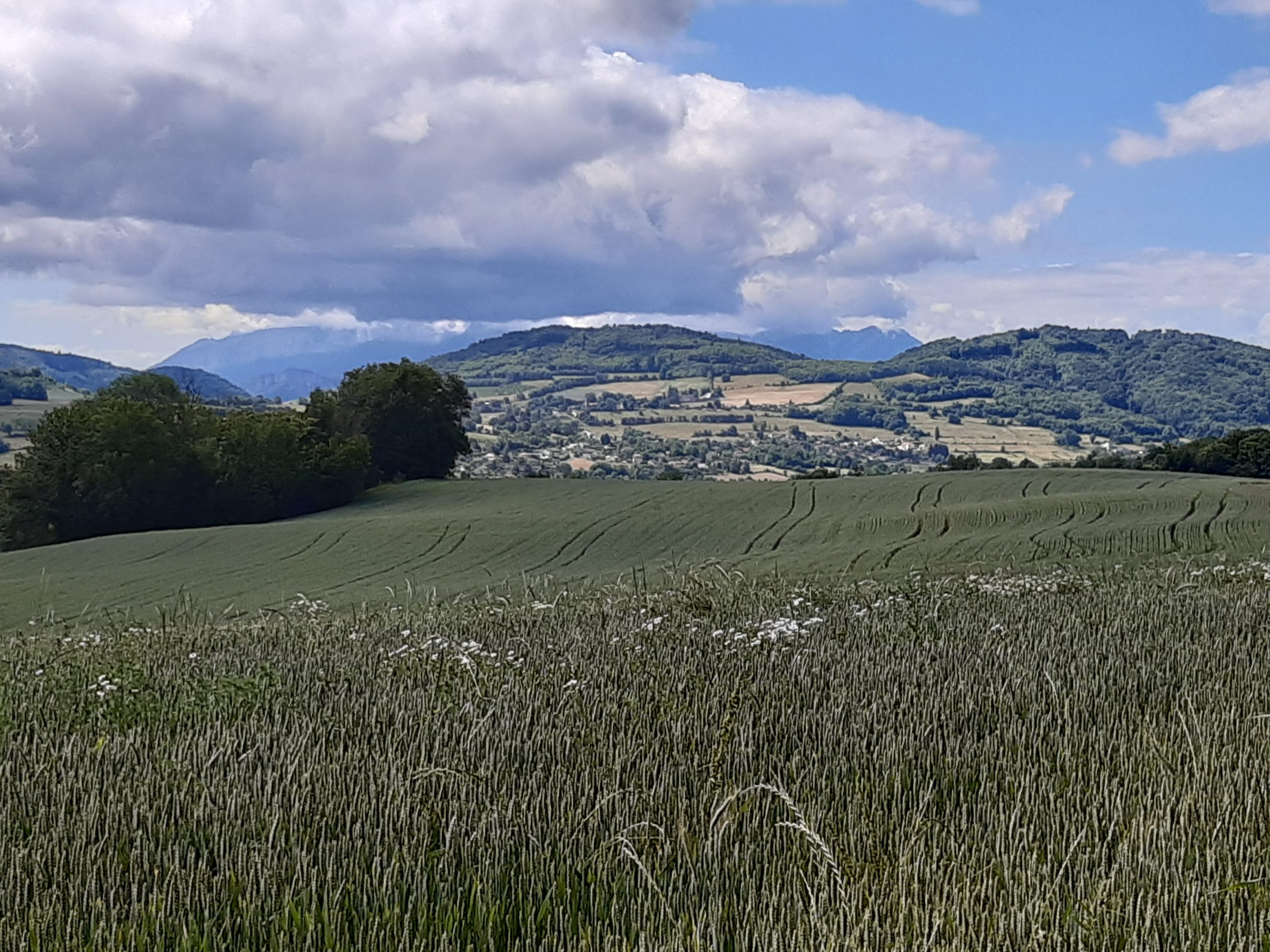 Du betrachtest gerade Zweiter Versuch Tag 7, 03.06. Les Abrets – Le Grand-Lemps, ca. 30 km