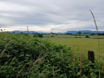 fernblick
