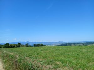 Mehr über den Artikel erfahren Zweiter Versuch Tag 10, 06.06. Revel Tourdan – Clonas-sur-Varèze, 28 km