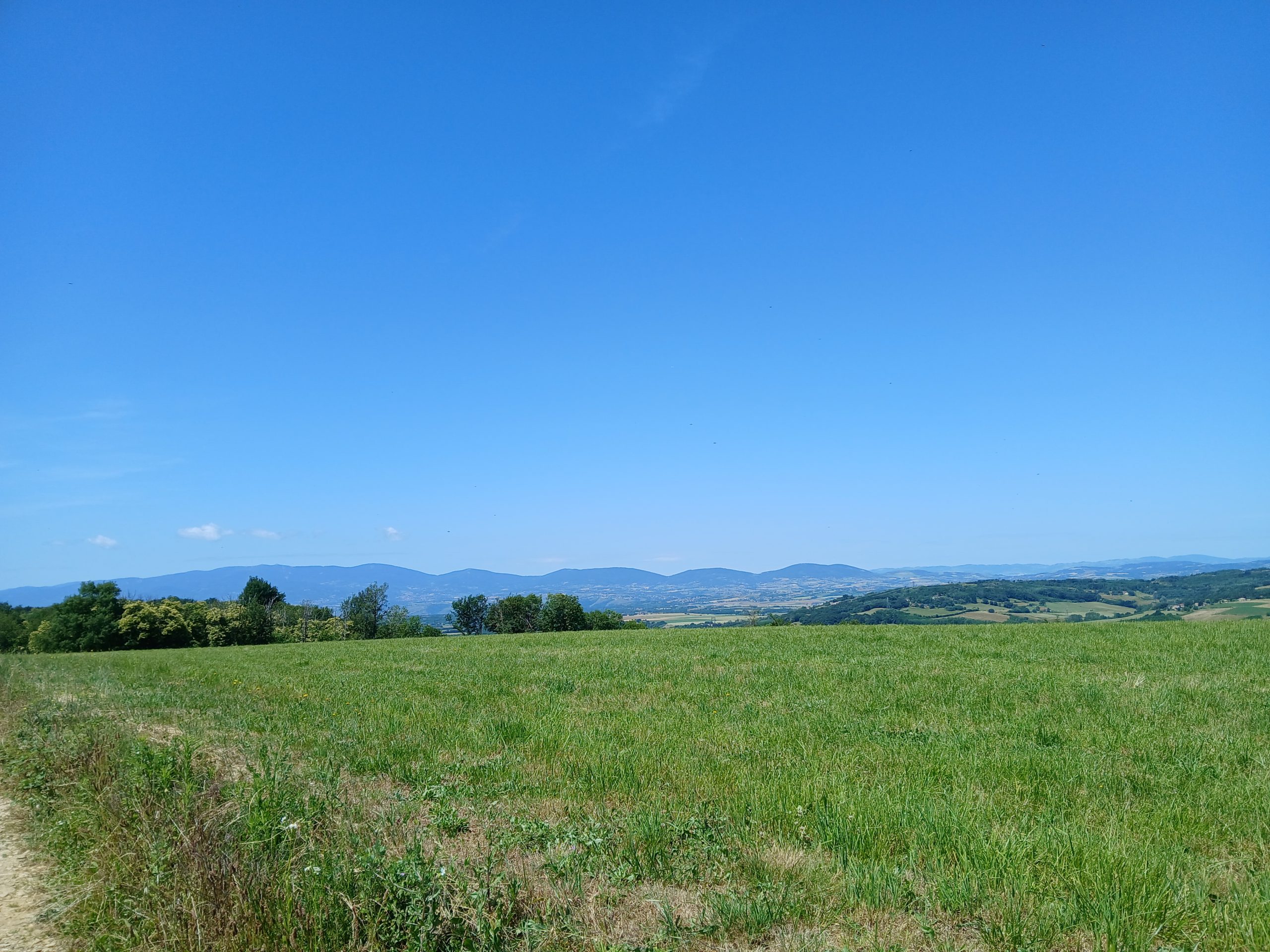 Du betrachtest gerade Zweiter Versuch Tag 10, 06.06. Revel Tourdan – Clonas-sur-Varèze, 28 km