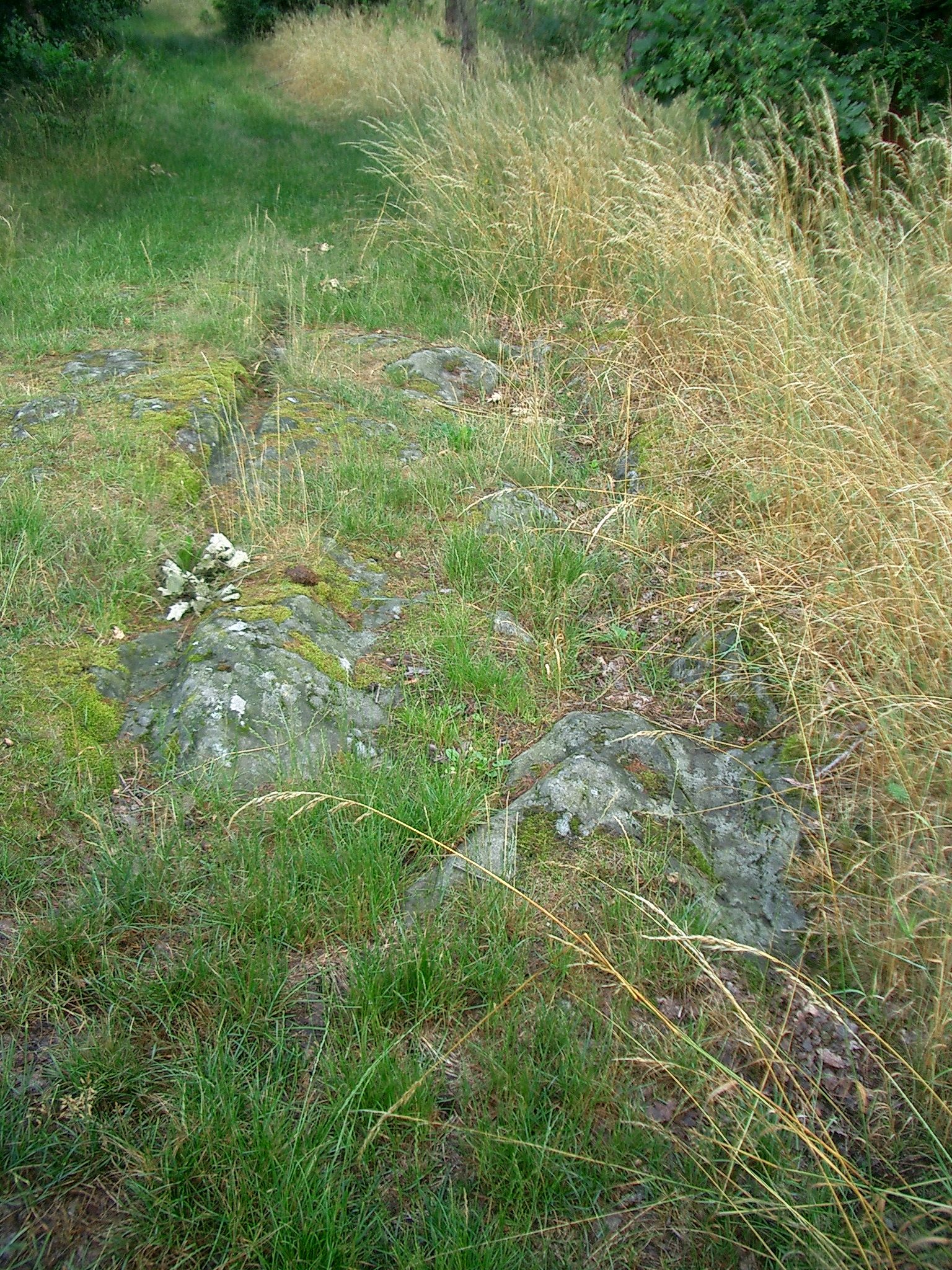 Wegspuren
