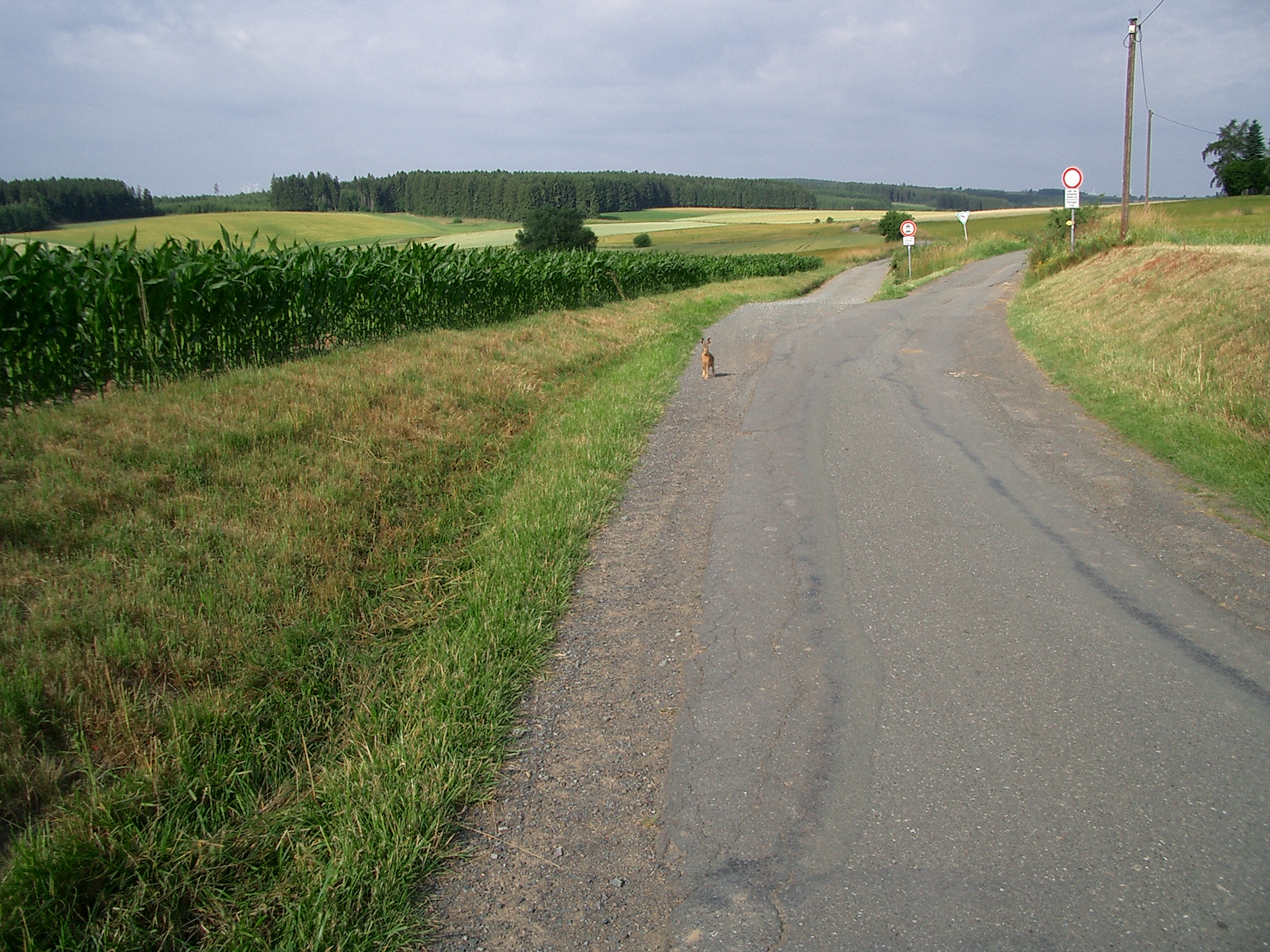 Tierbegegnung