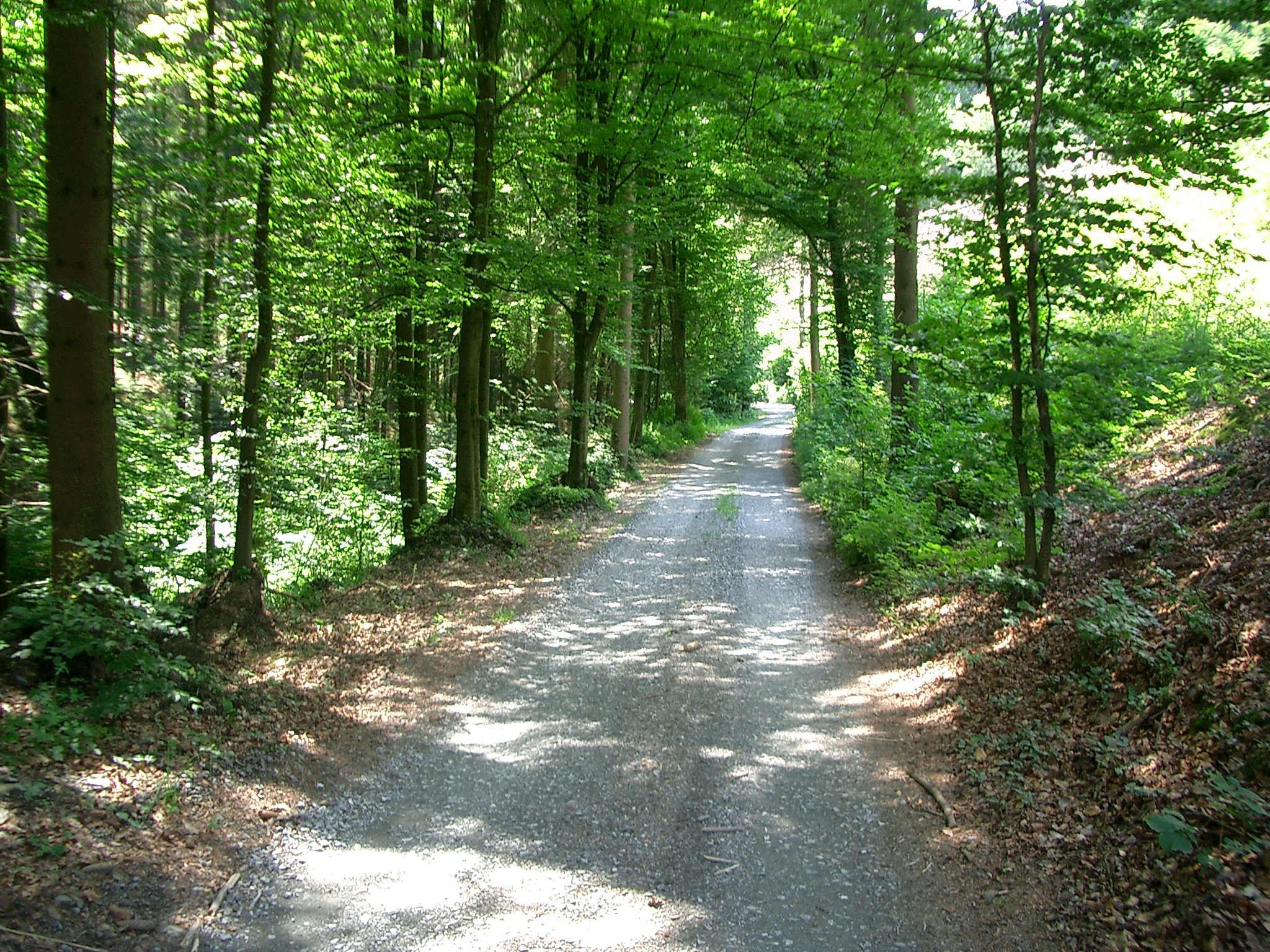 Pulstbachtal