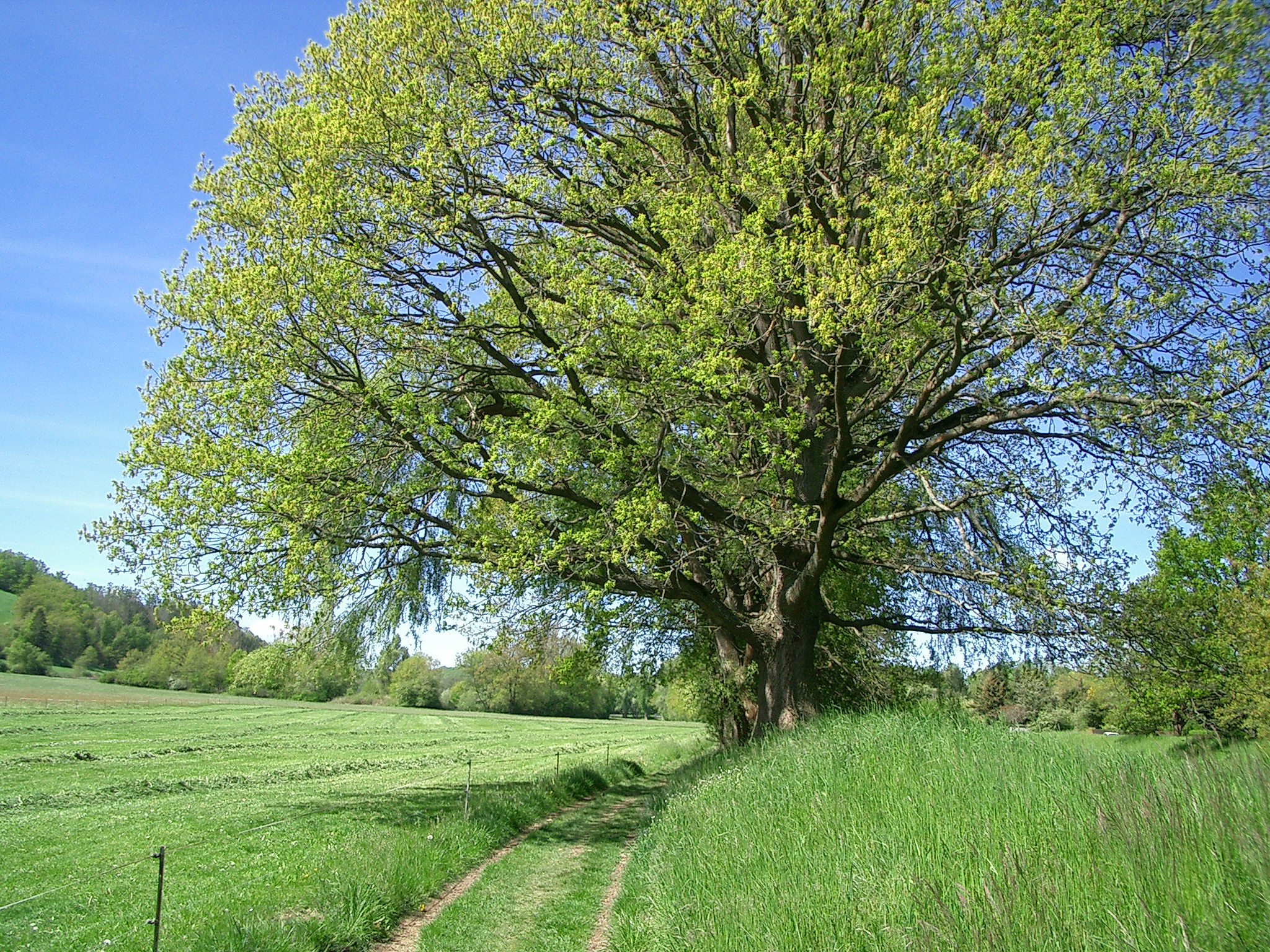 Panoramaweg