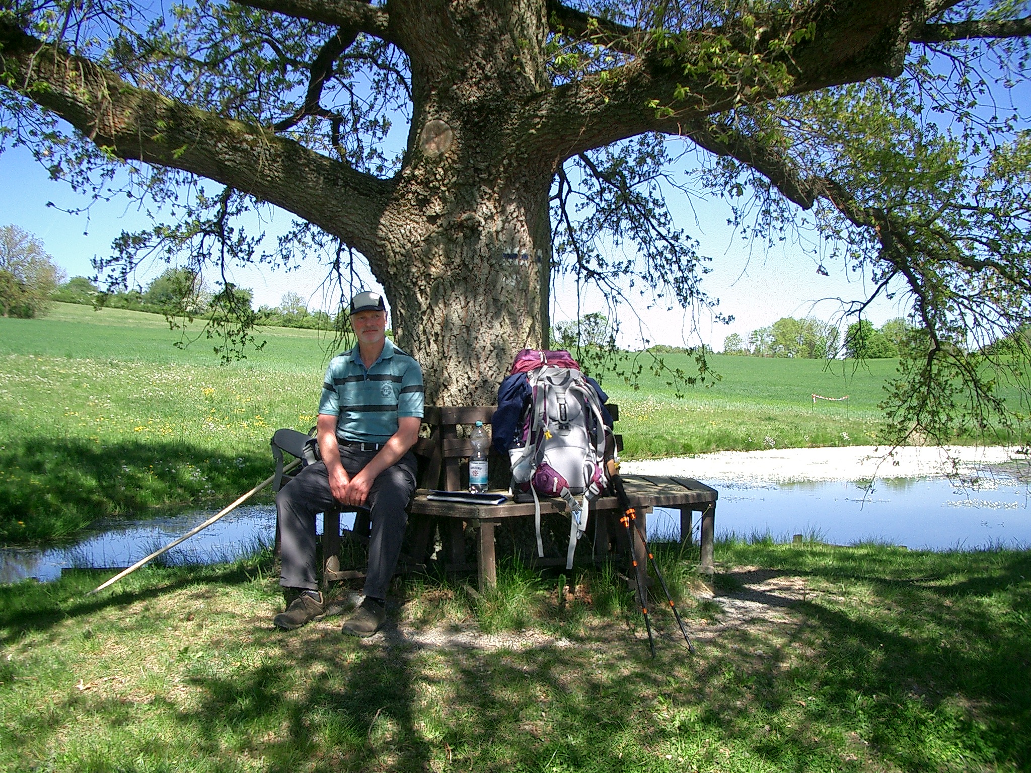 Pausenbank am Teich