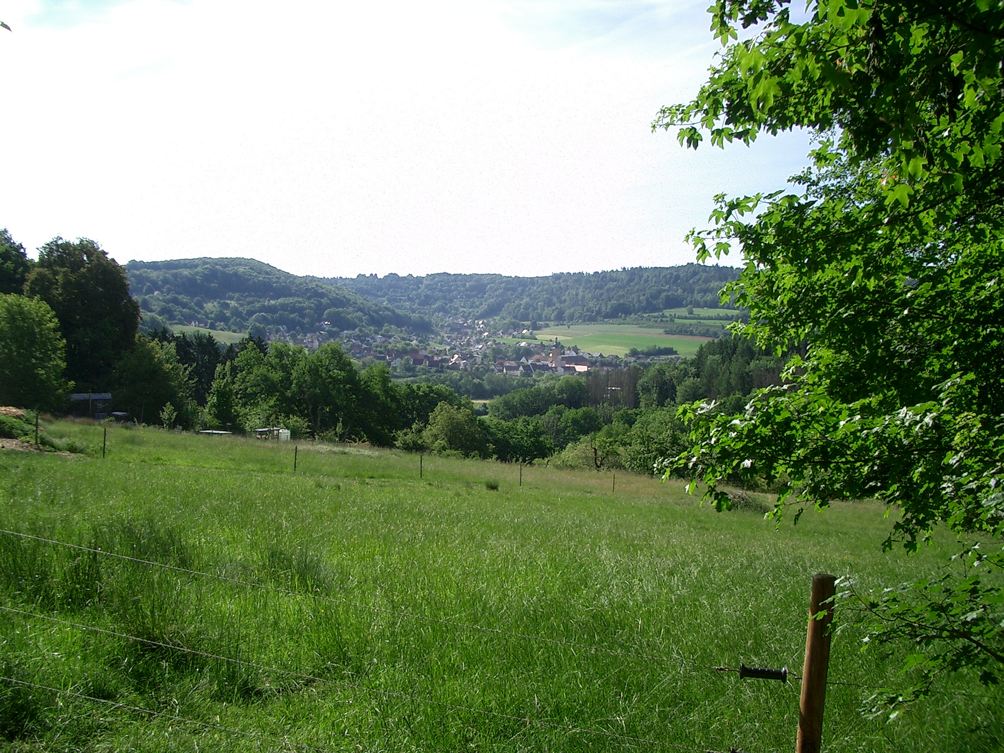 Gräfenberg