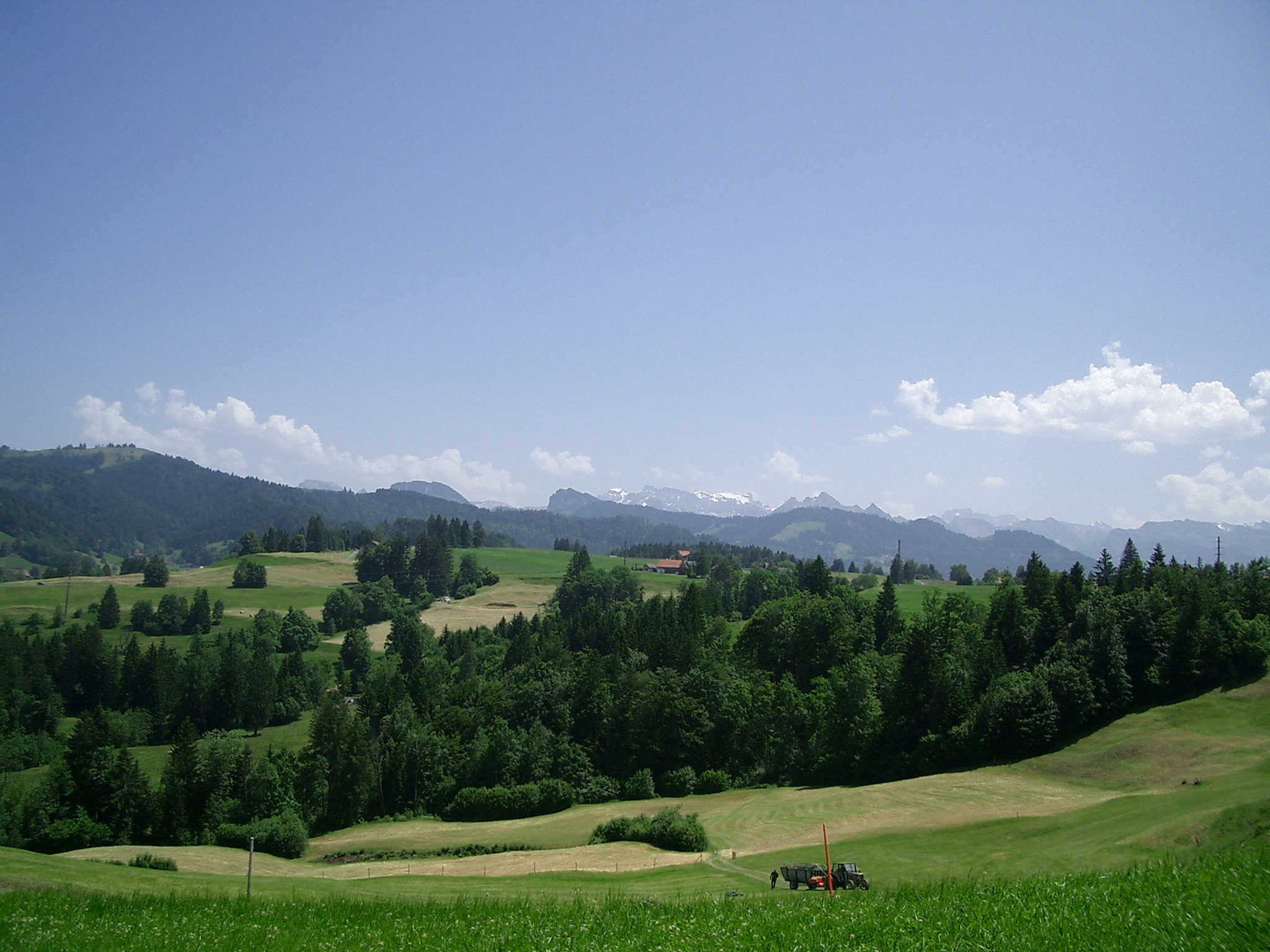 Heuernte