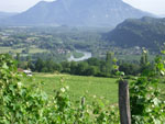 rhône